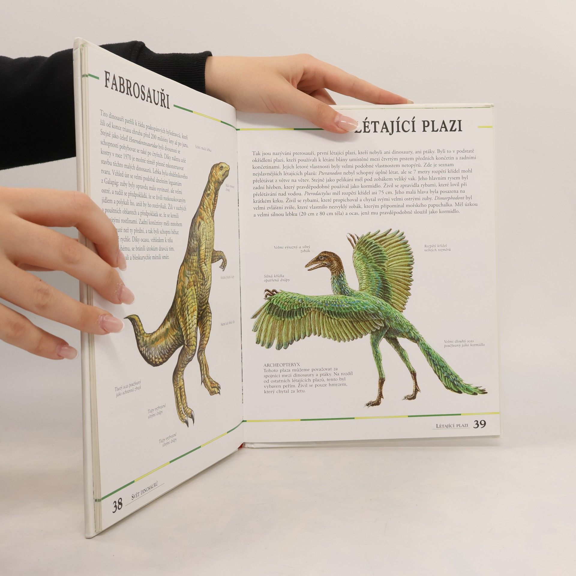 AA.VV. Dinosauři - putování pravěkým světem