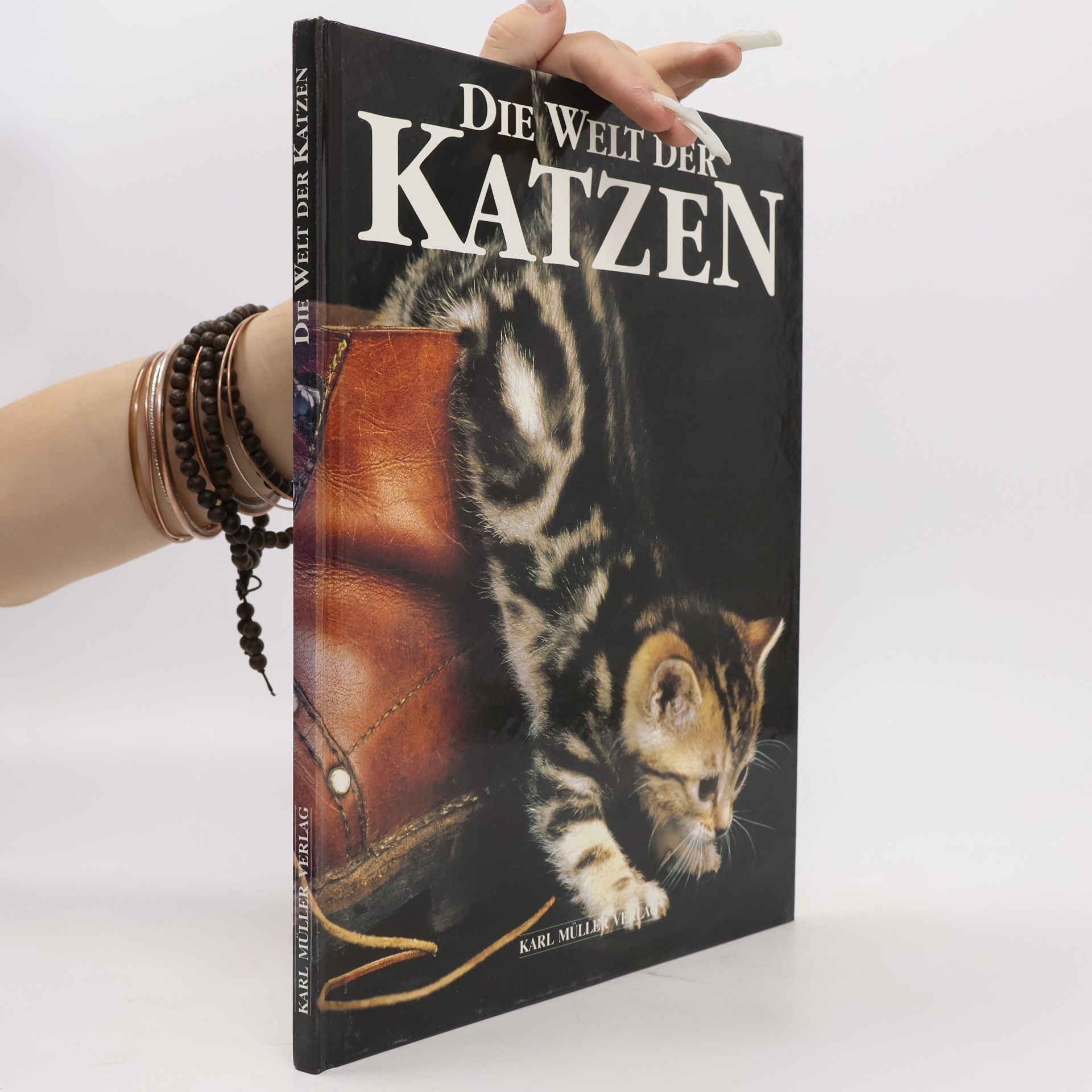 Autorenkollektiv Die Welt der Katzen