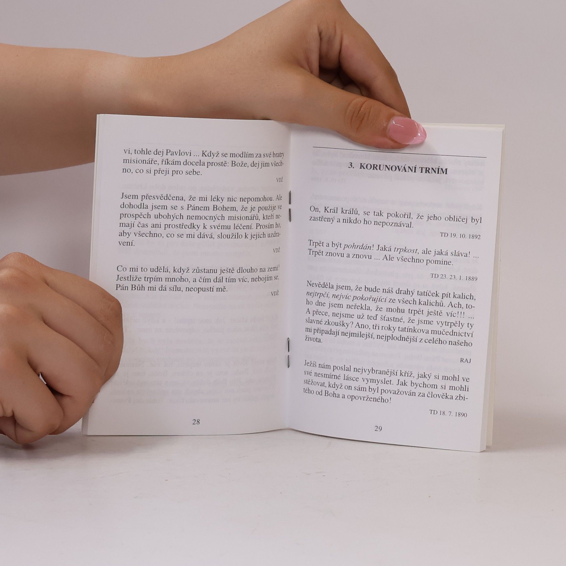 Autorenkollektiv Růženec se svatou Terezií z Lisieux