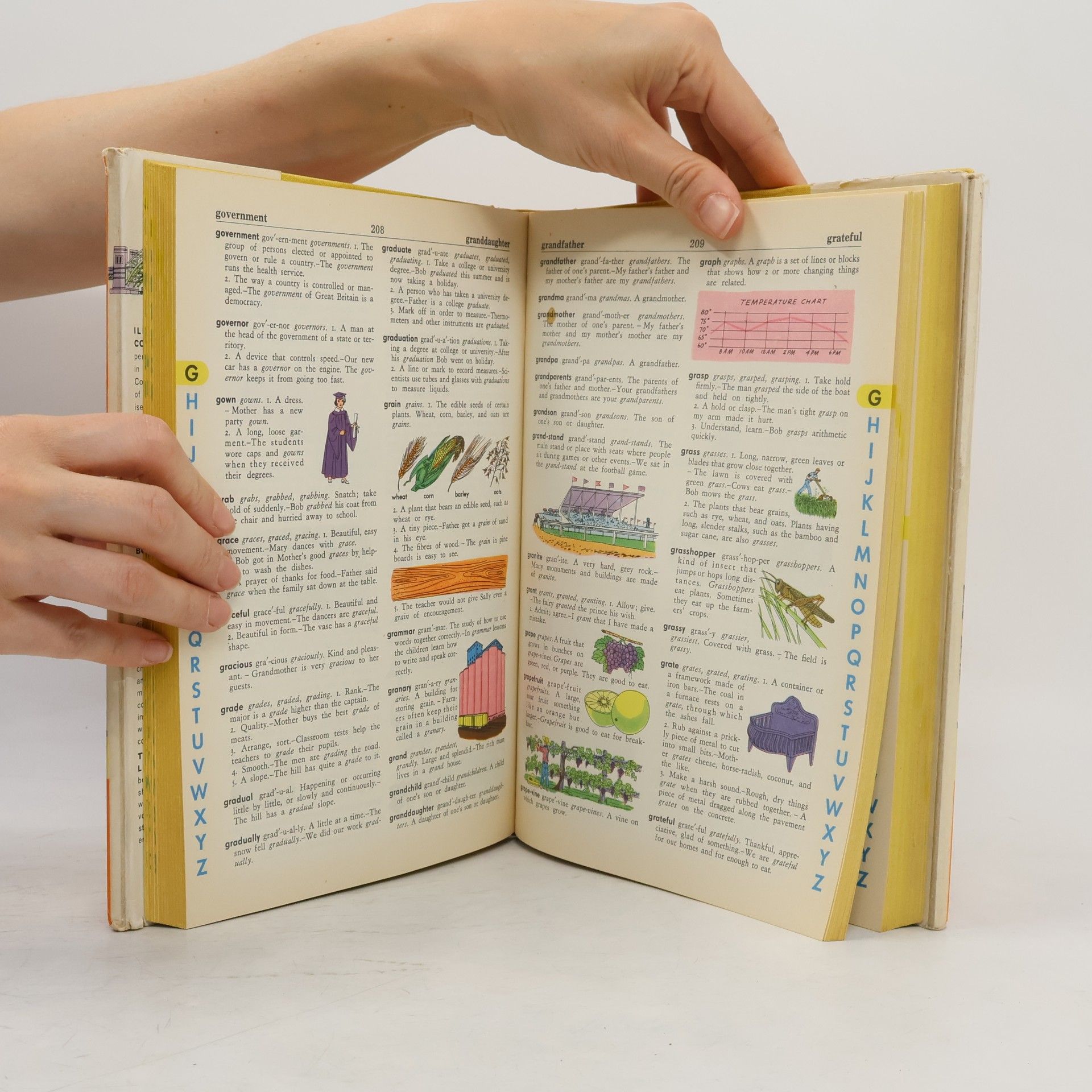 Collectif d'auteurs The Giant All-Colour Dictionary