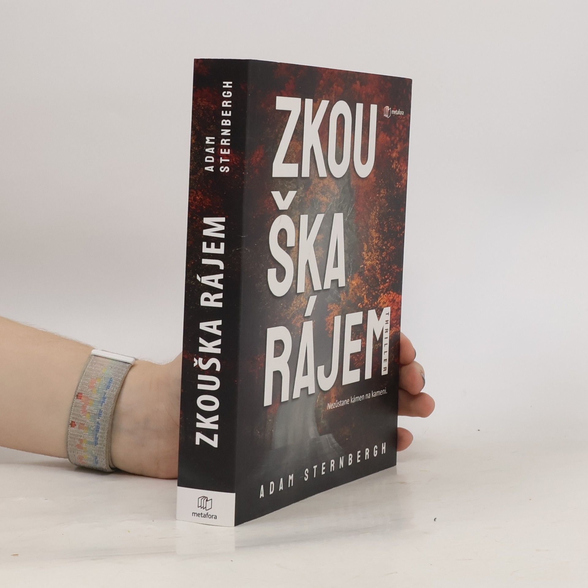 Adam Sternbergh Zkouška rájem