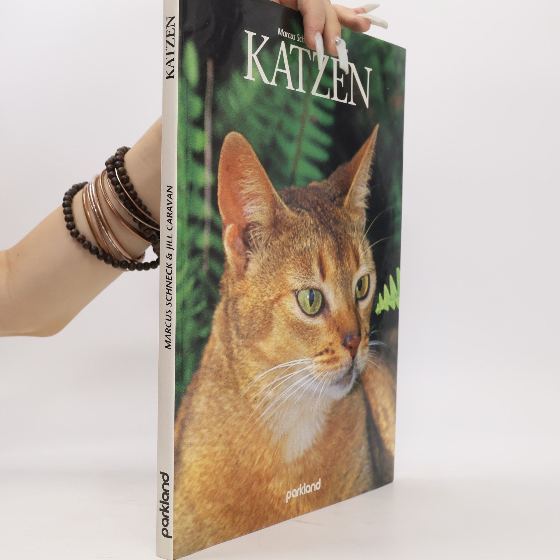 Marcus Schneck Katzen