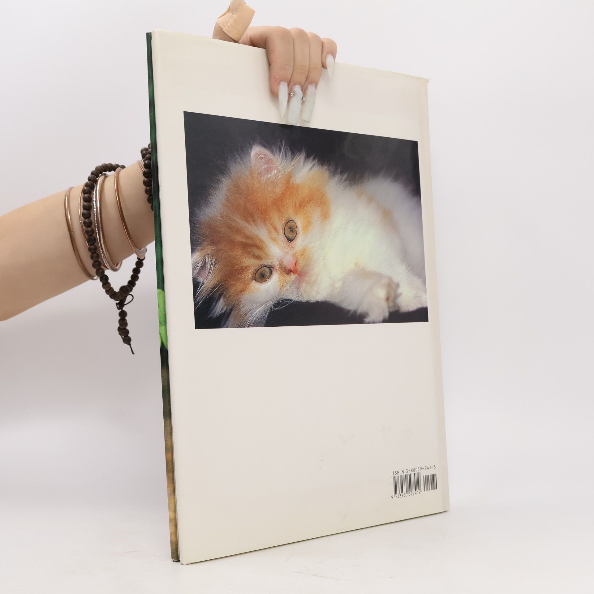 Marcus Schneck Katzen