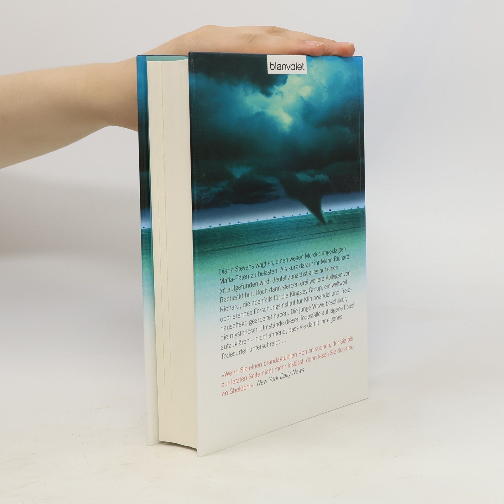Sidney Sheldon Der Zorn der Götter