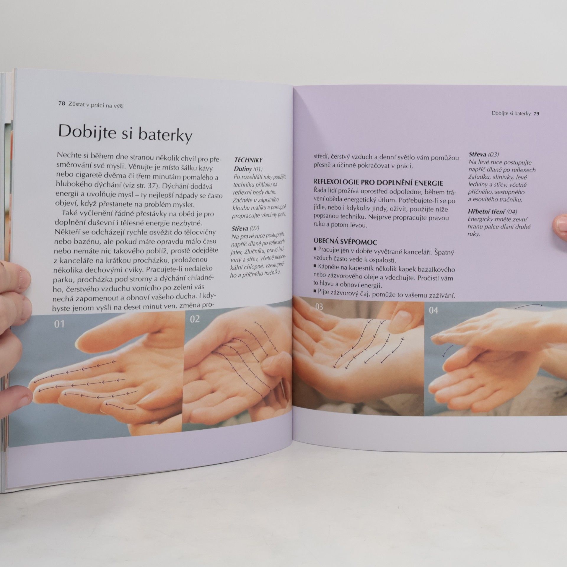 Ann Gillanders Reflexologie. Praktický obrazový průvodce