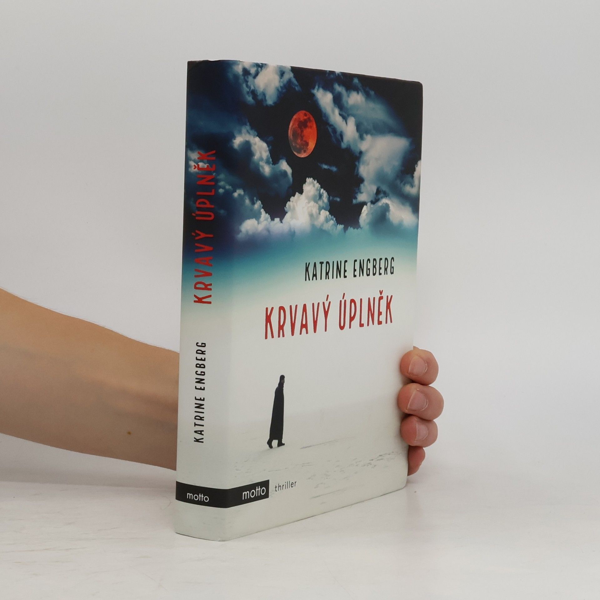 Katrine Engberg Krvavý úplněk