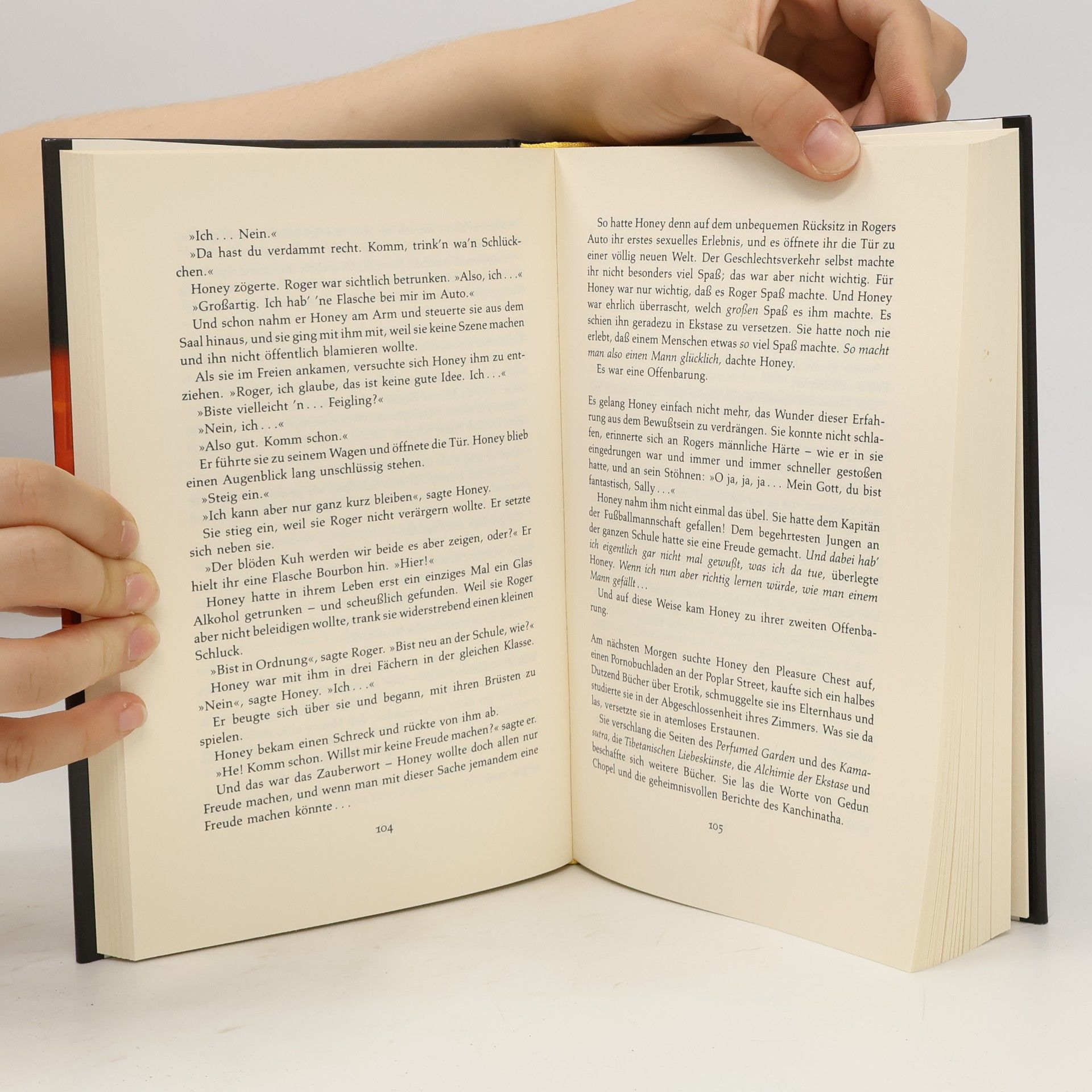 Sidney Sheldon Die Pflicht zu schweigen