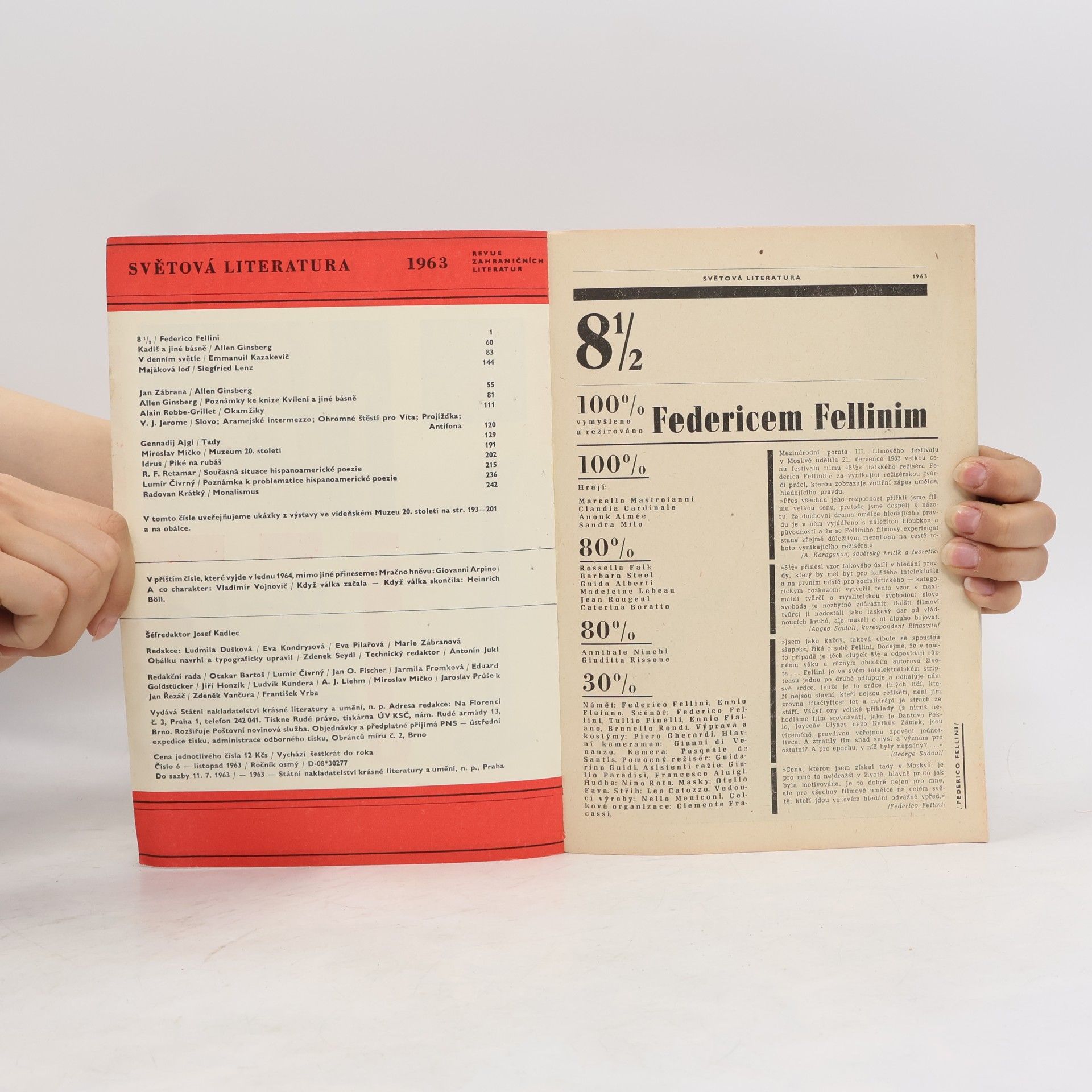 Autorenkollektiv Světová literatura