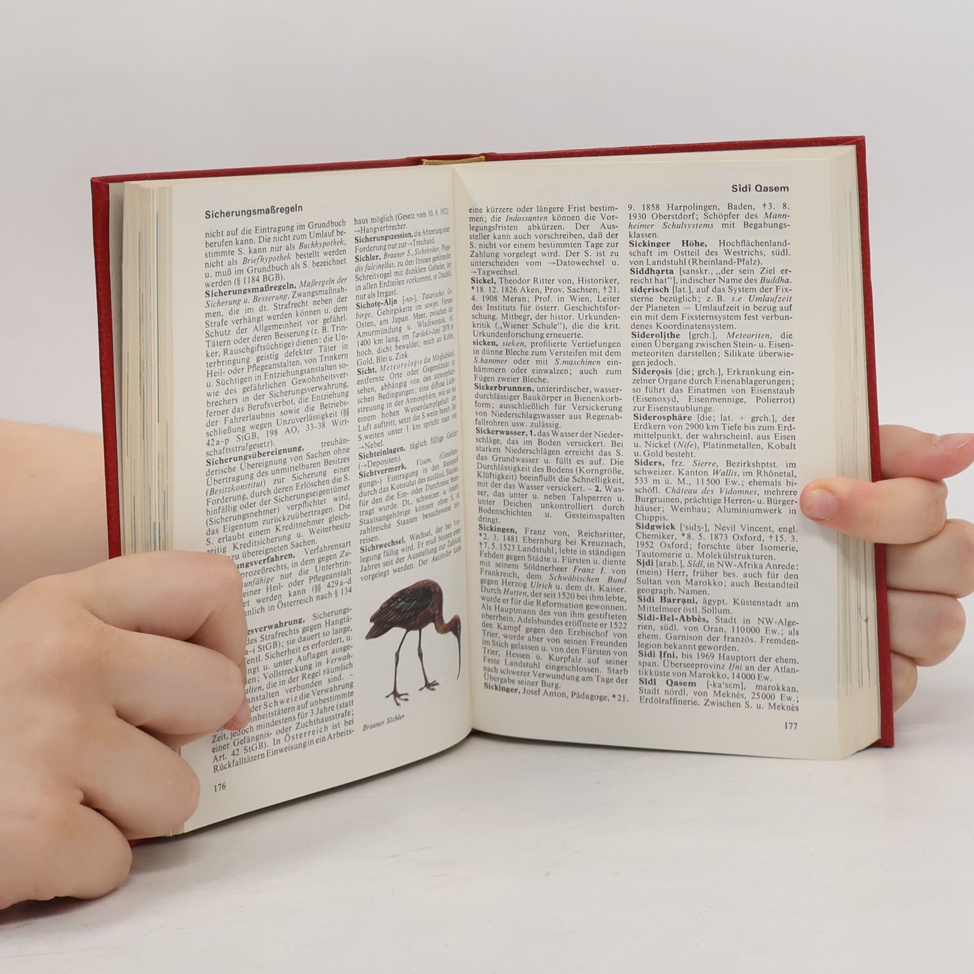 Dr. Hans F. Müller Das Moderne Lexikon 17. Schum-Stech