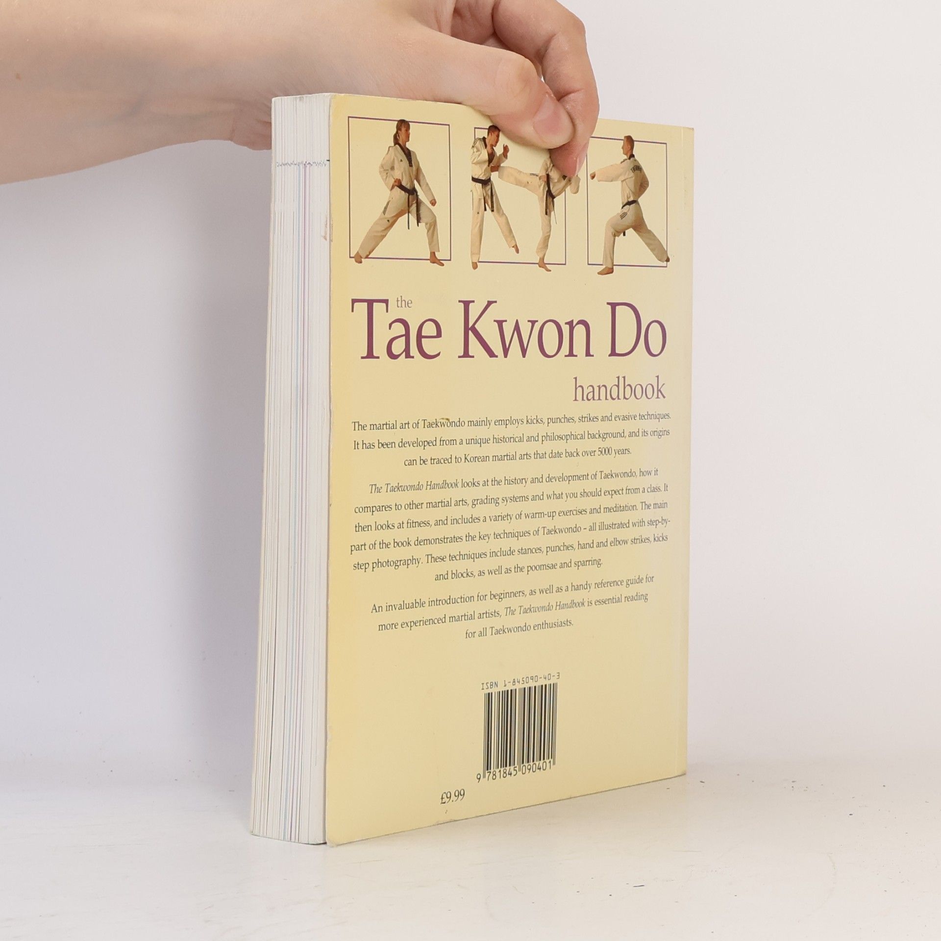 Matt Fiddes The Tae Kwon Do Handbook