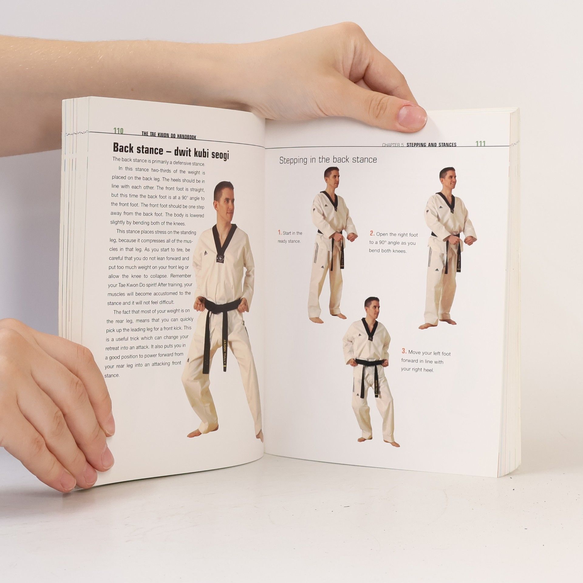 Matt Fiddes The Tae Kwon Do Handbook