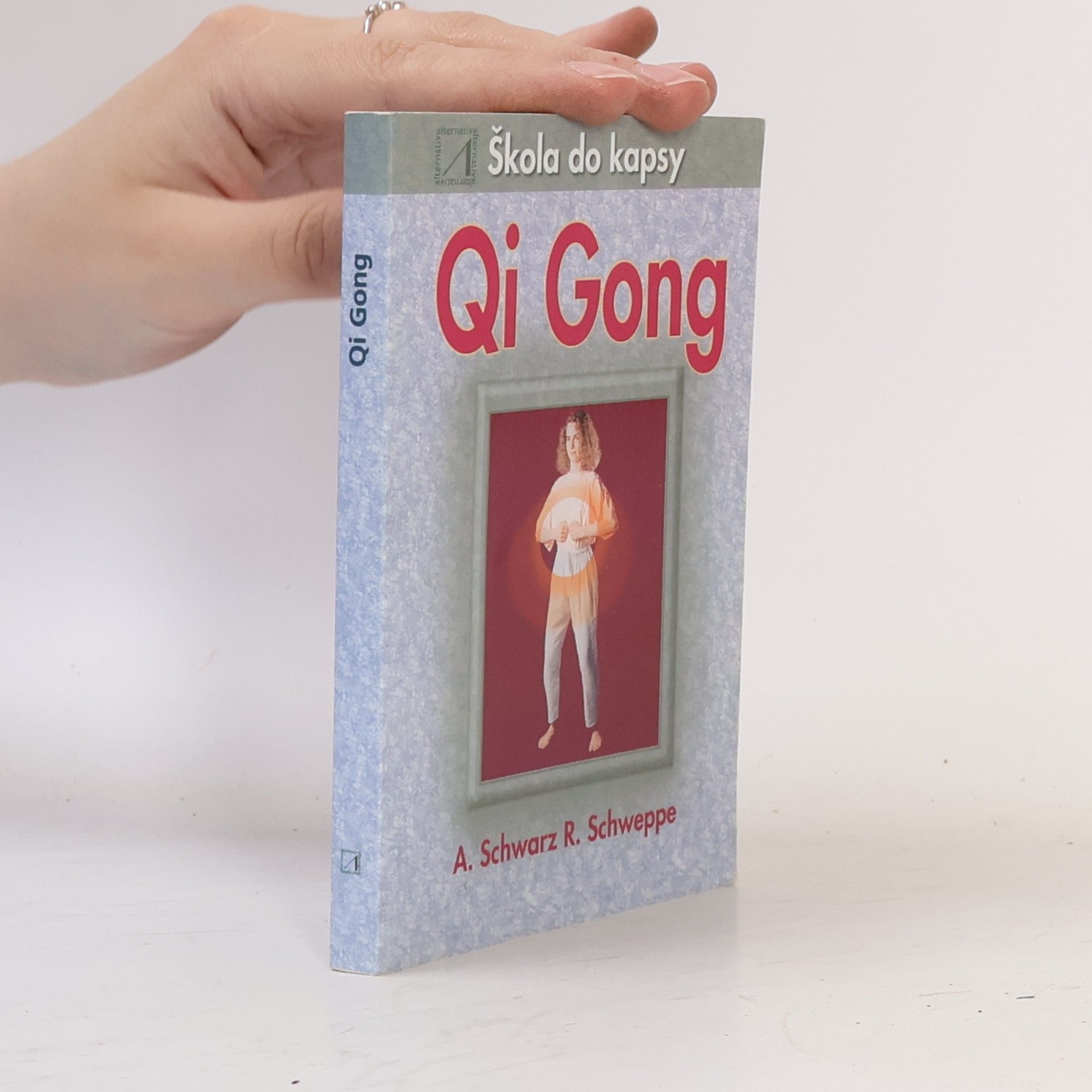 Ronald Schweppe Qi gong