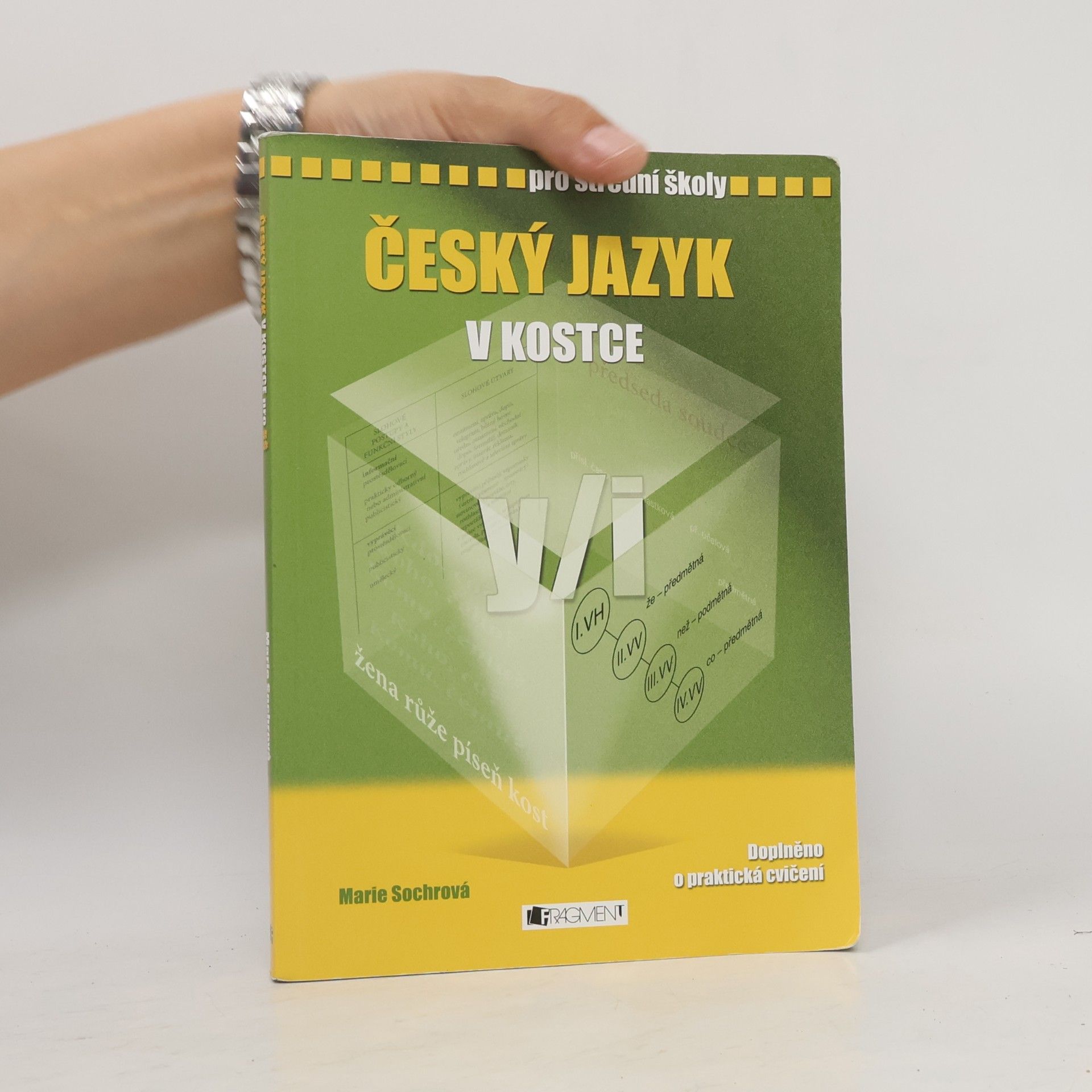 Marie Sochrová Český jazyk v kostce : pro střední školy