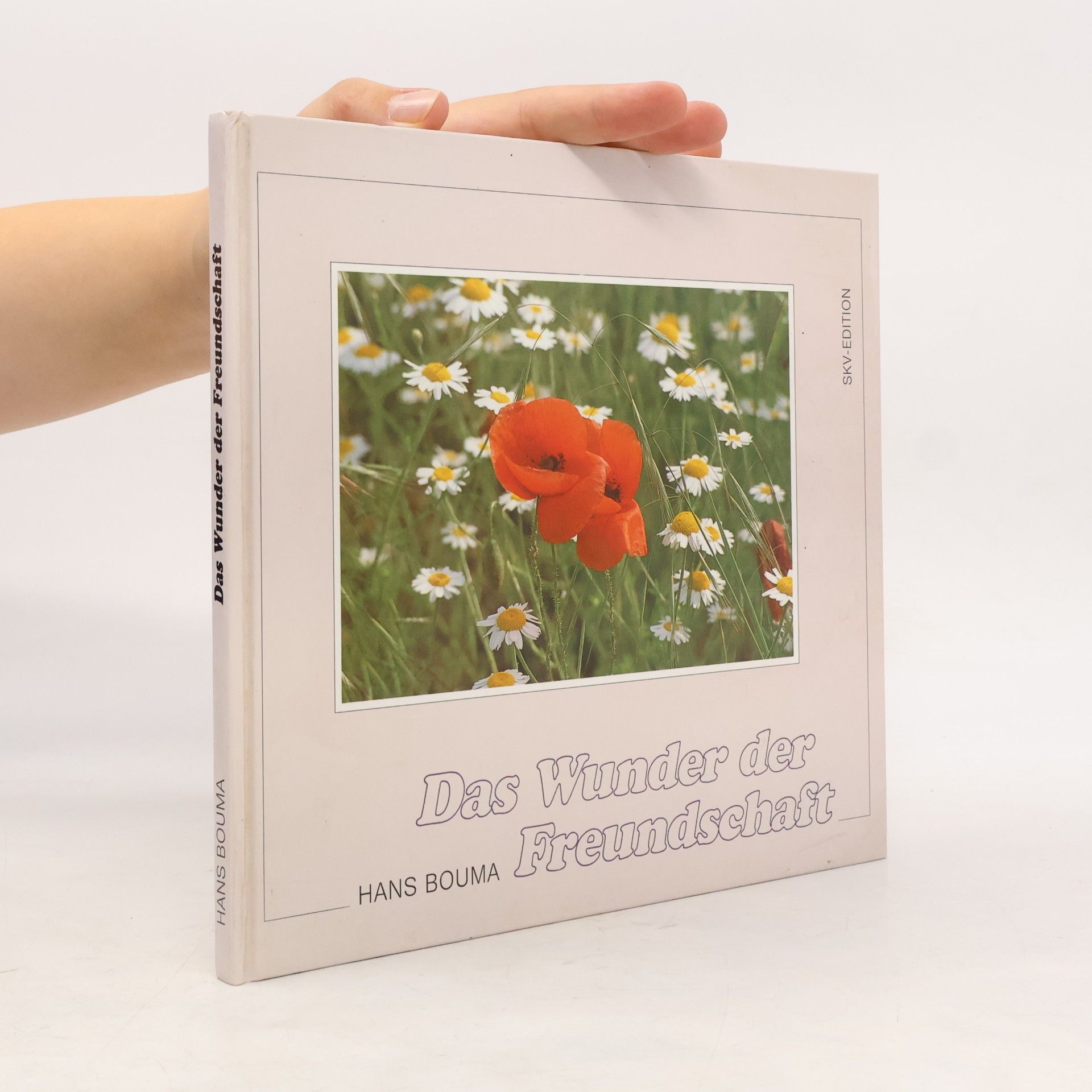 Hans Bouma Das Wunde der Freundschaft