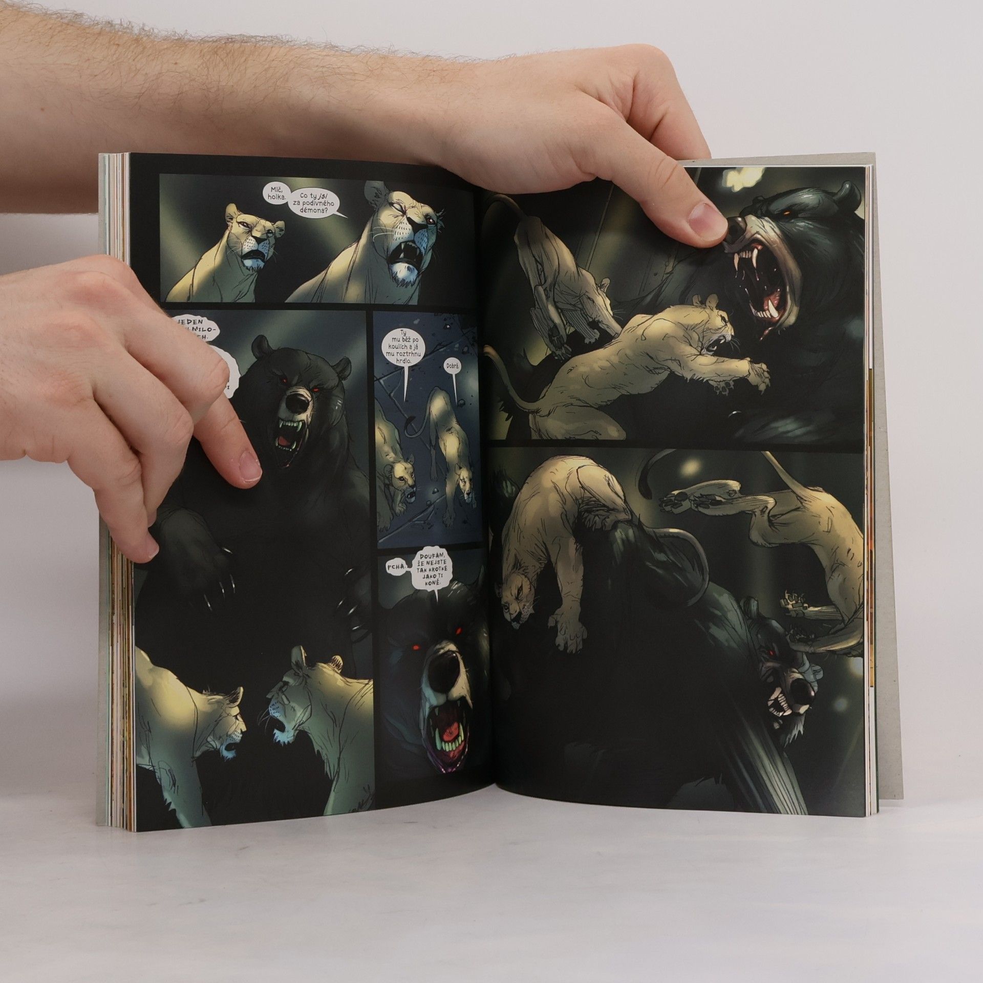 Brian K. Vaughan Smečka z Bagdádu