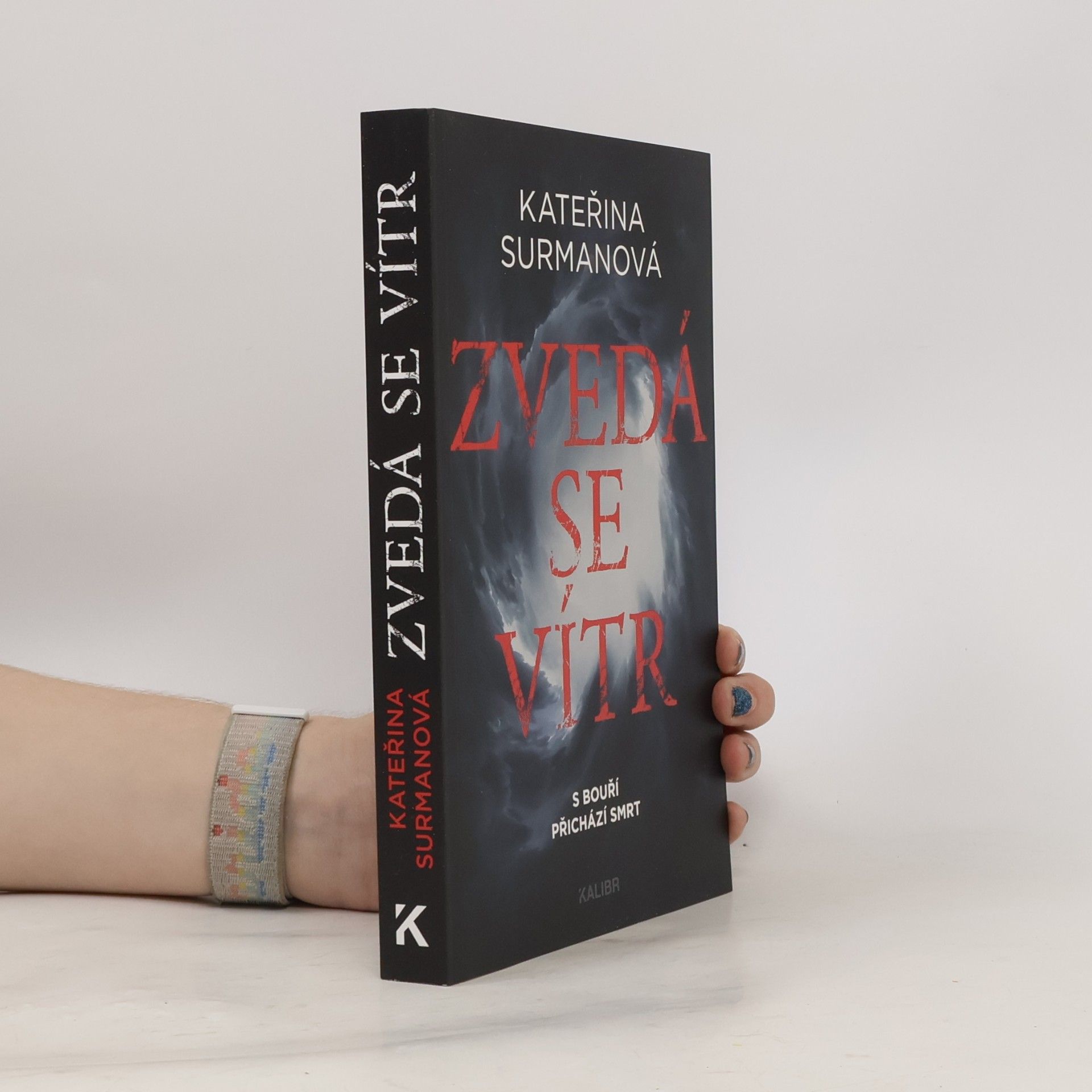 Kateřina Surmanová Zvedá se vítr