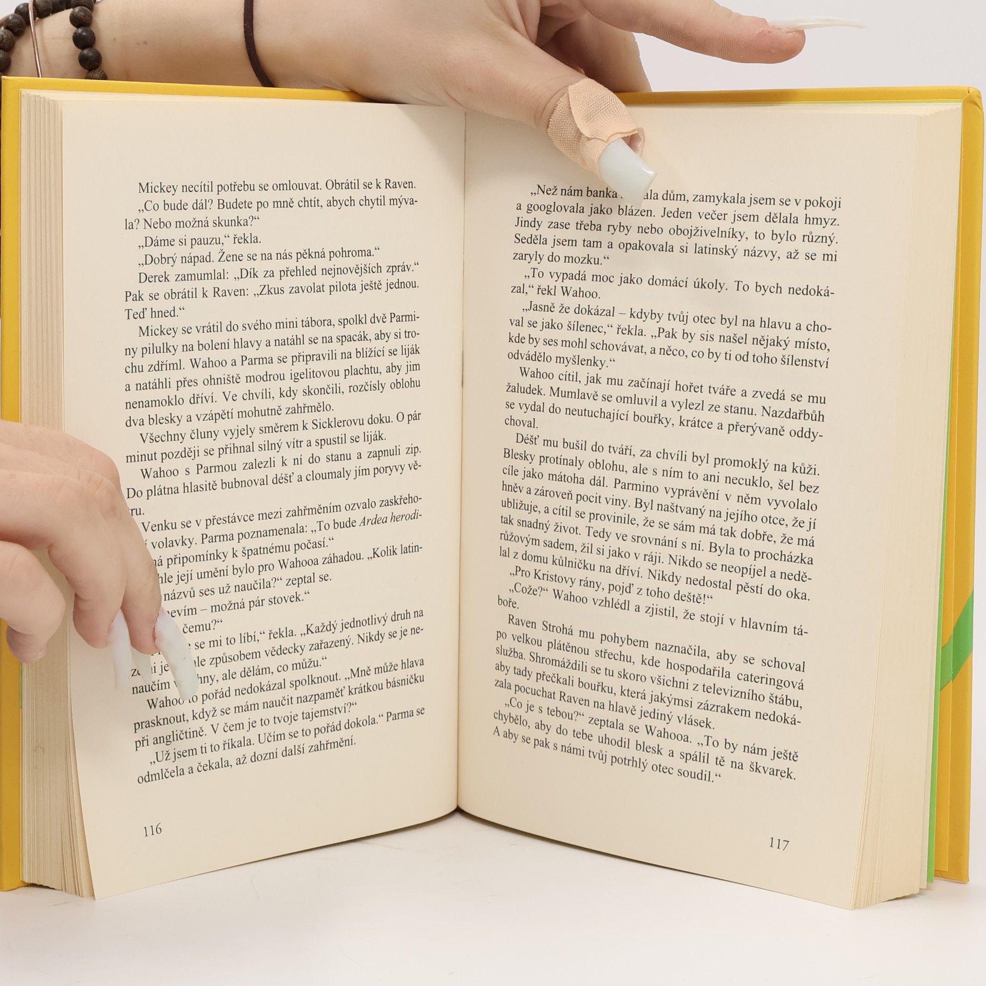 Carl Hiaasen Chramst