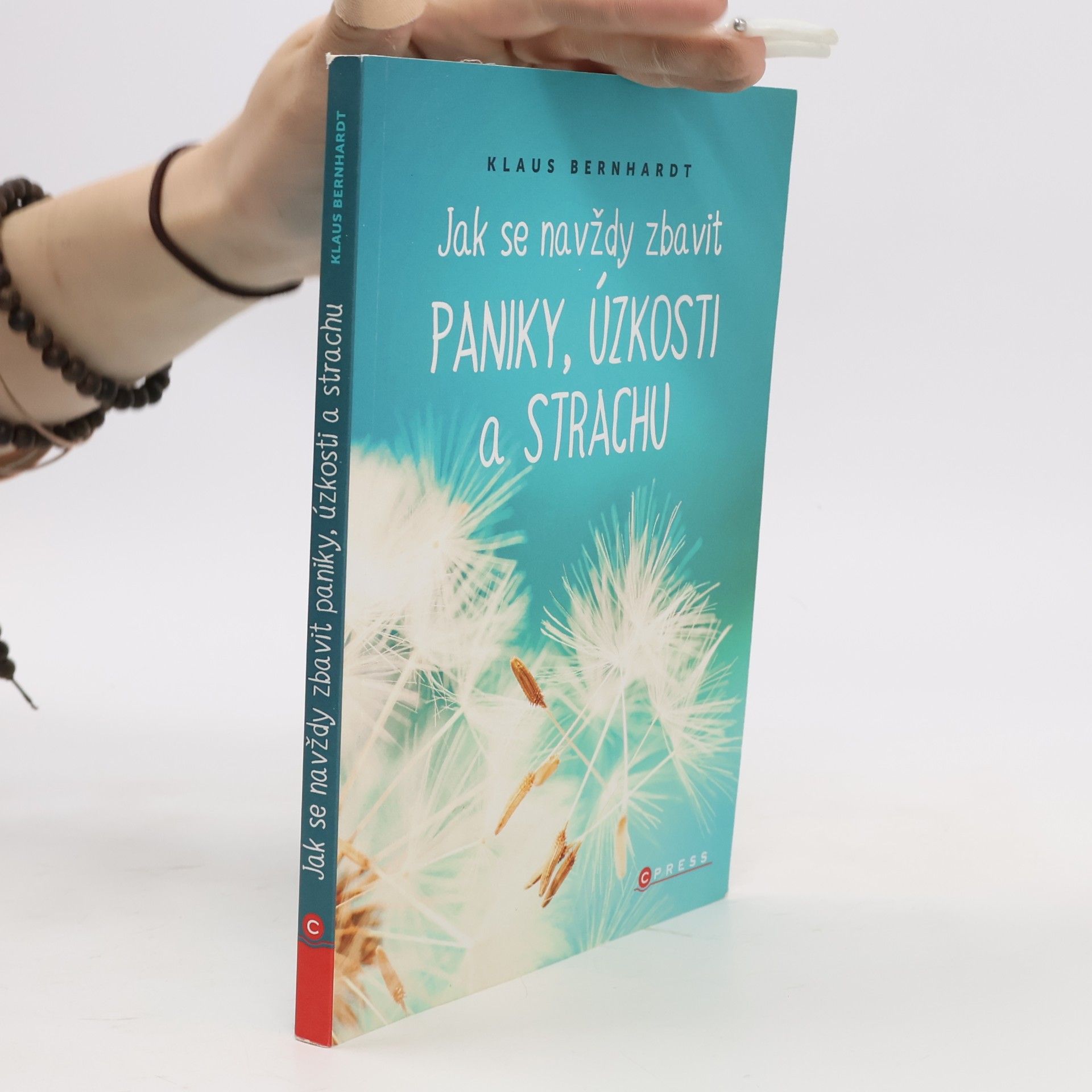 Klaus Bernhardt Jak se navždy zbavit paniky, úzkosti a strachu