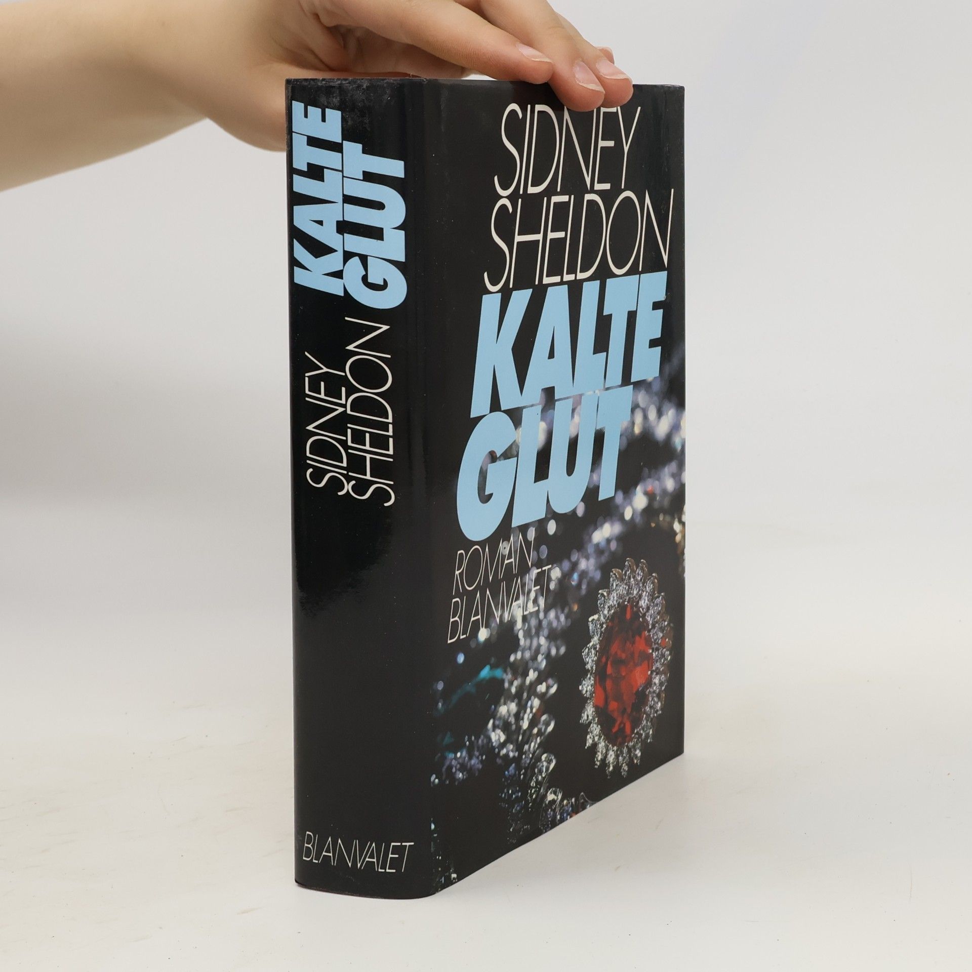 Sidney Sheldon Kalte Glut