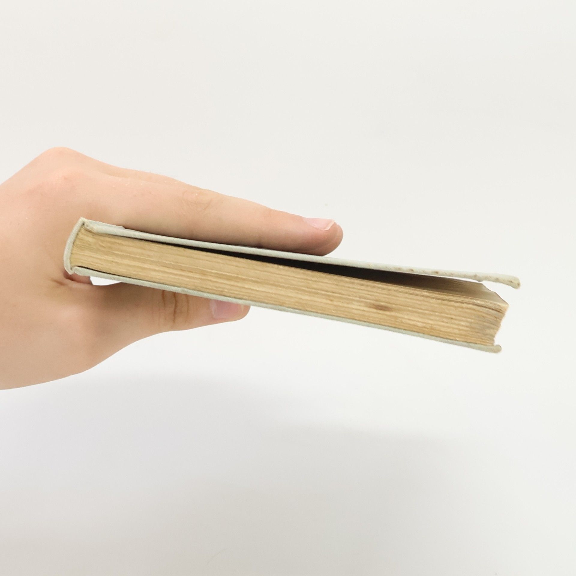 Autorenkollektiv Ein Schillerbuch, der Jugend Wiens gewidmet