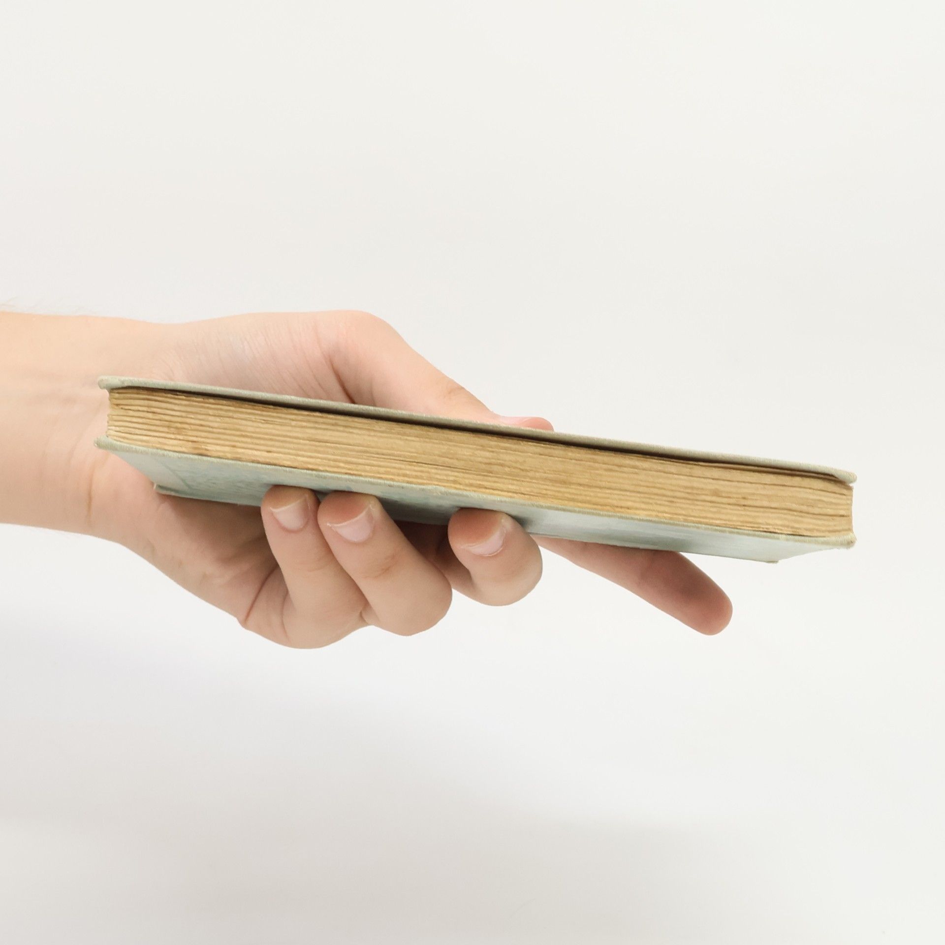 Autorenkollektiv Ein Schillerbuch, der Jugend Wiens gewidmet