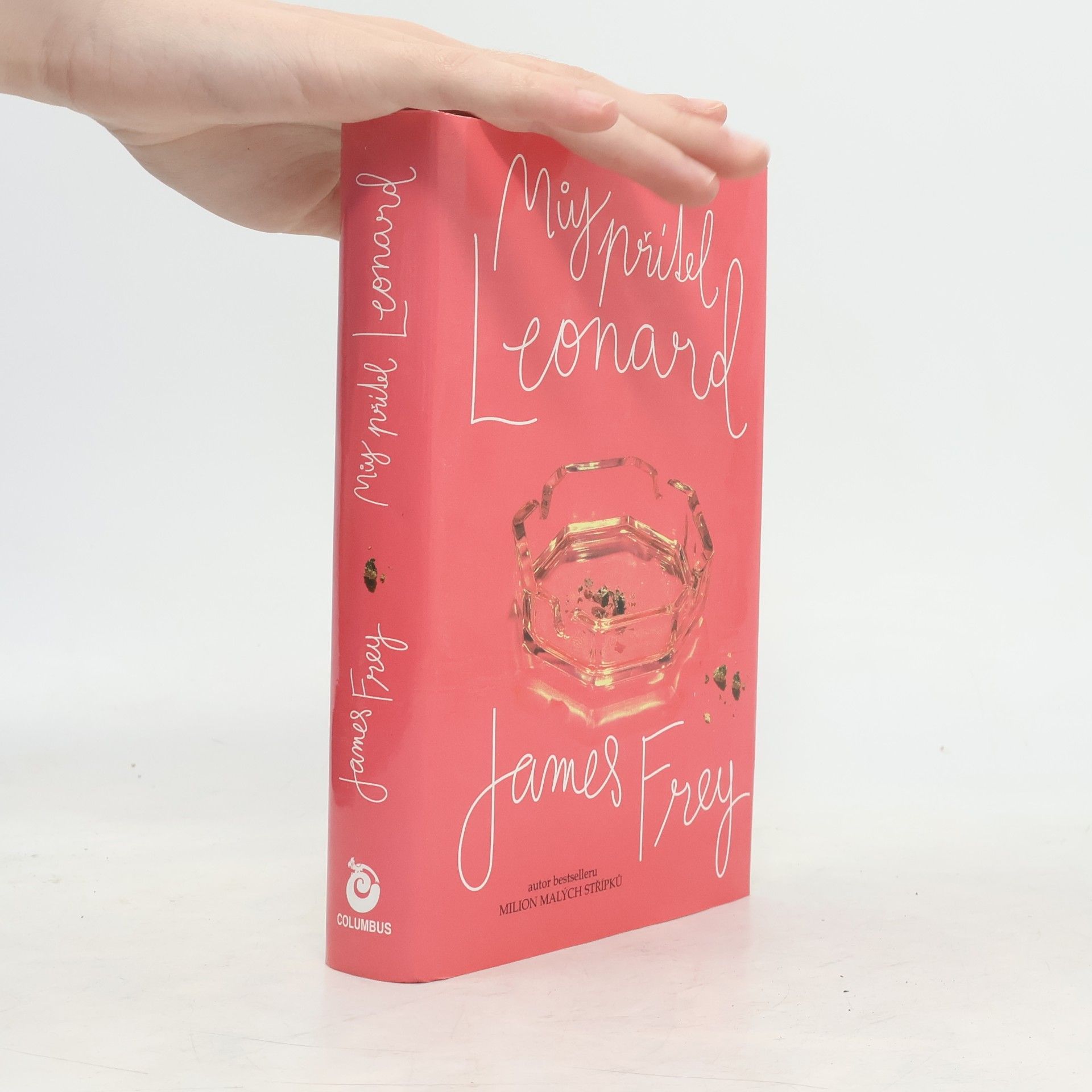 James Frey Můj přítel Leonard