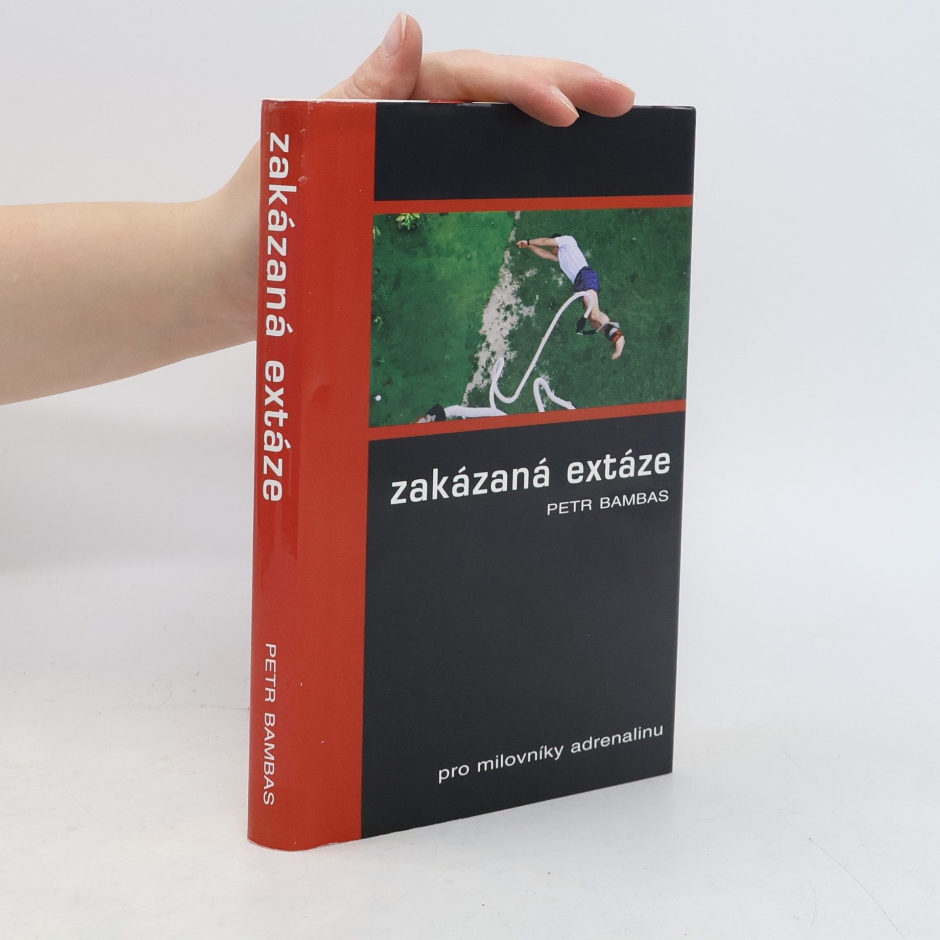 Zakázaná extáze