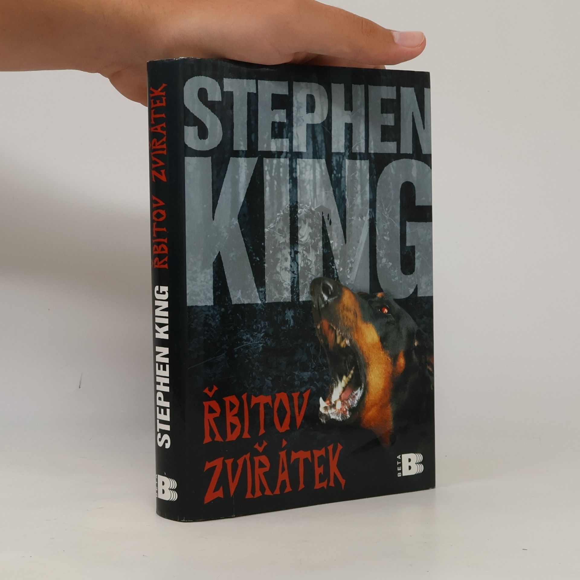 Stephen King Řbitov zviřátek