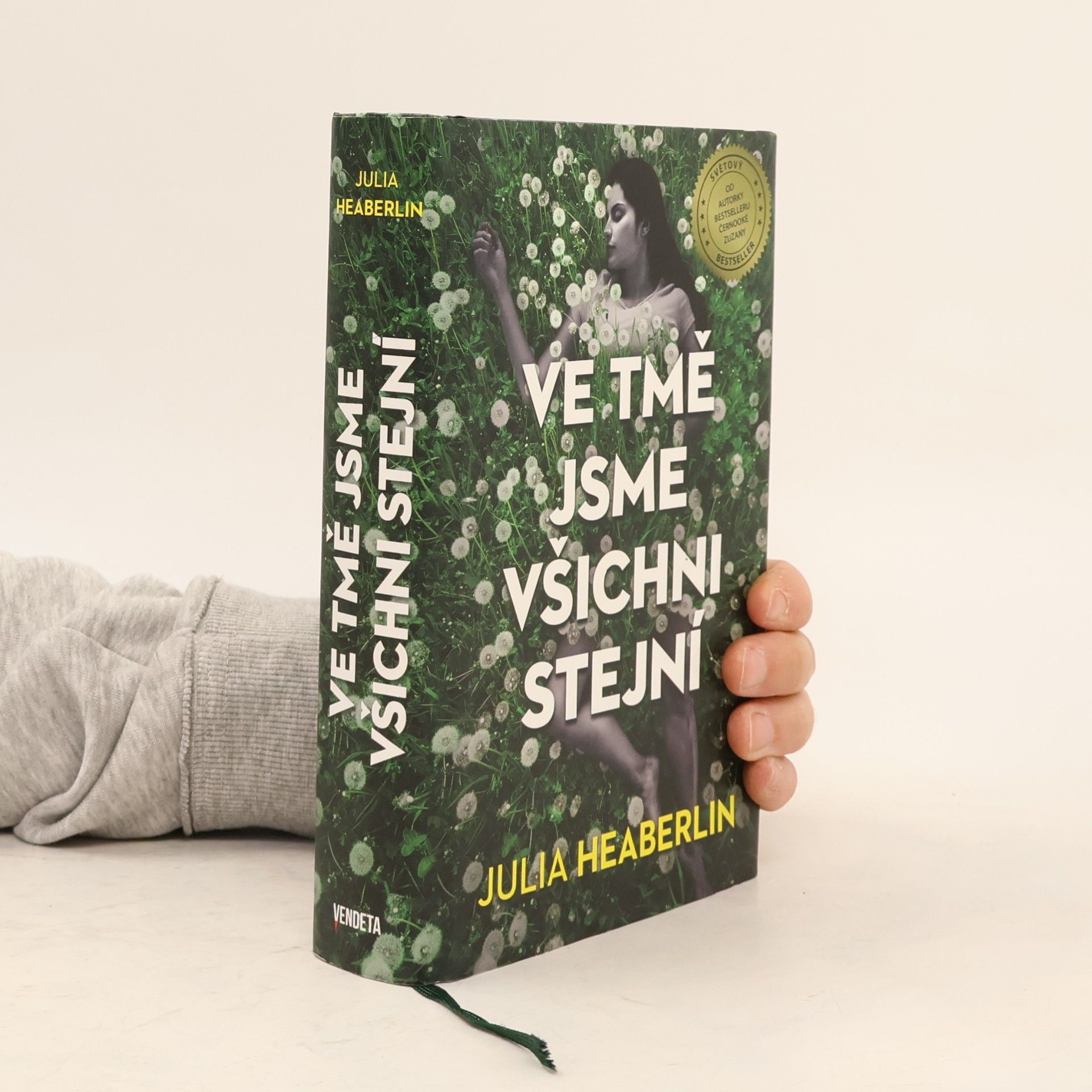 Julia Heaberlin Ve tmě jsme všichni stejní