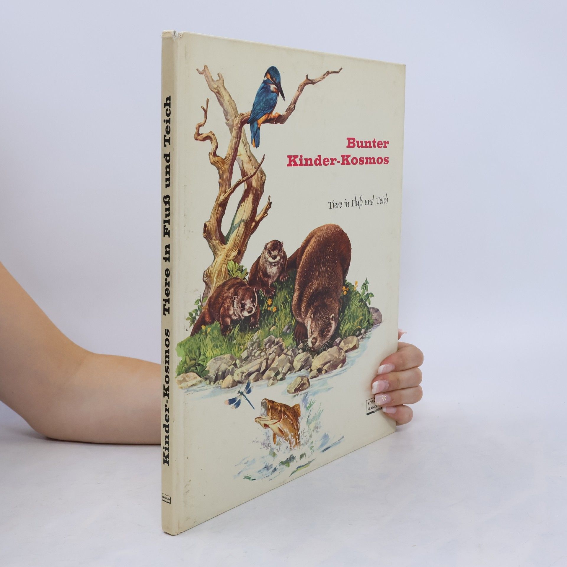 Autorenkollektiv Tiere in Fluss und Teich