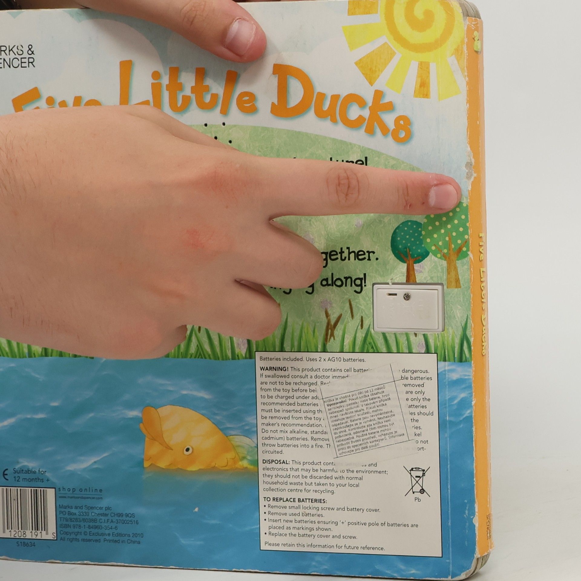 Autorenkollektiv Five Little Ducks