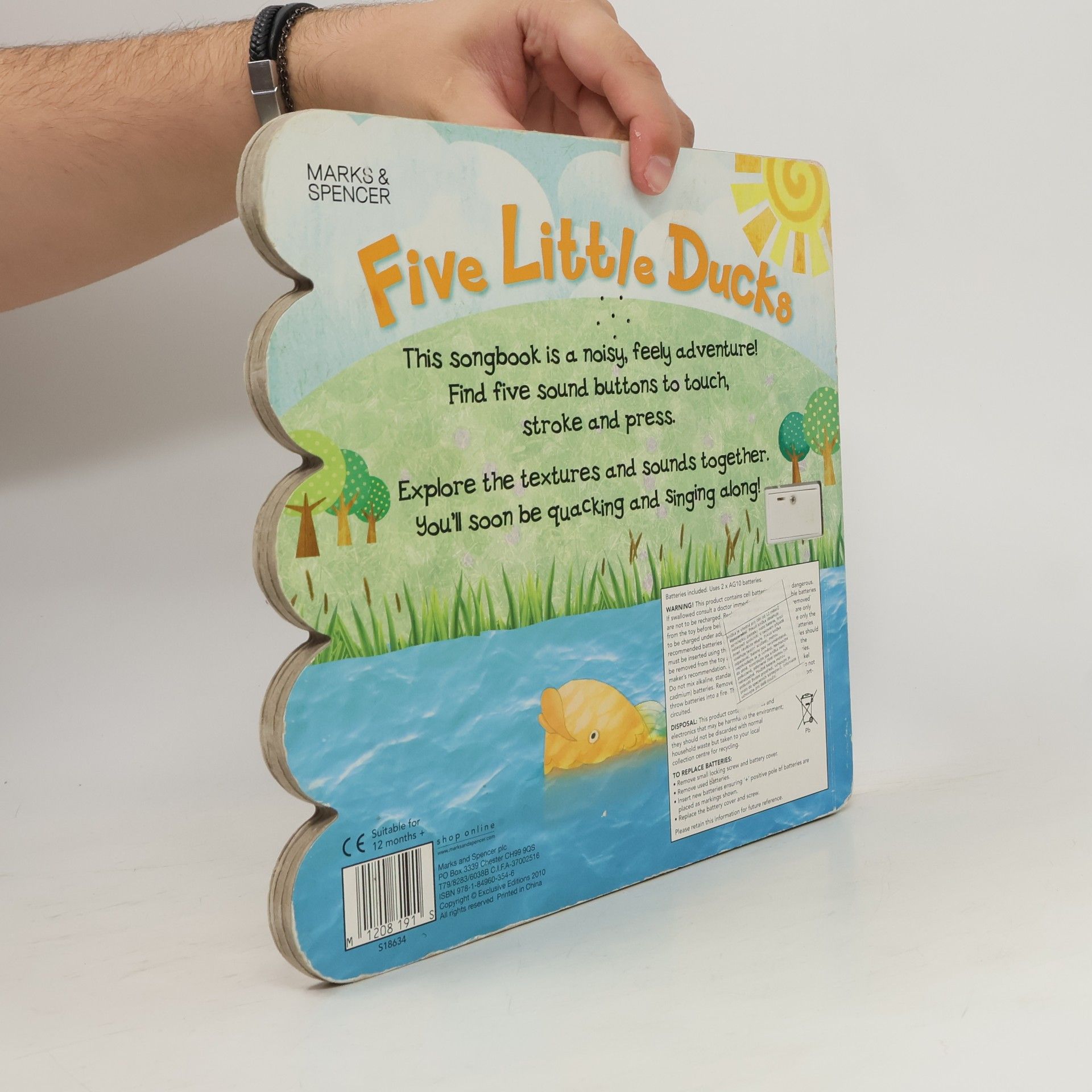 Autorenkollektiv Five Little Ducks