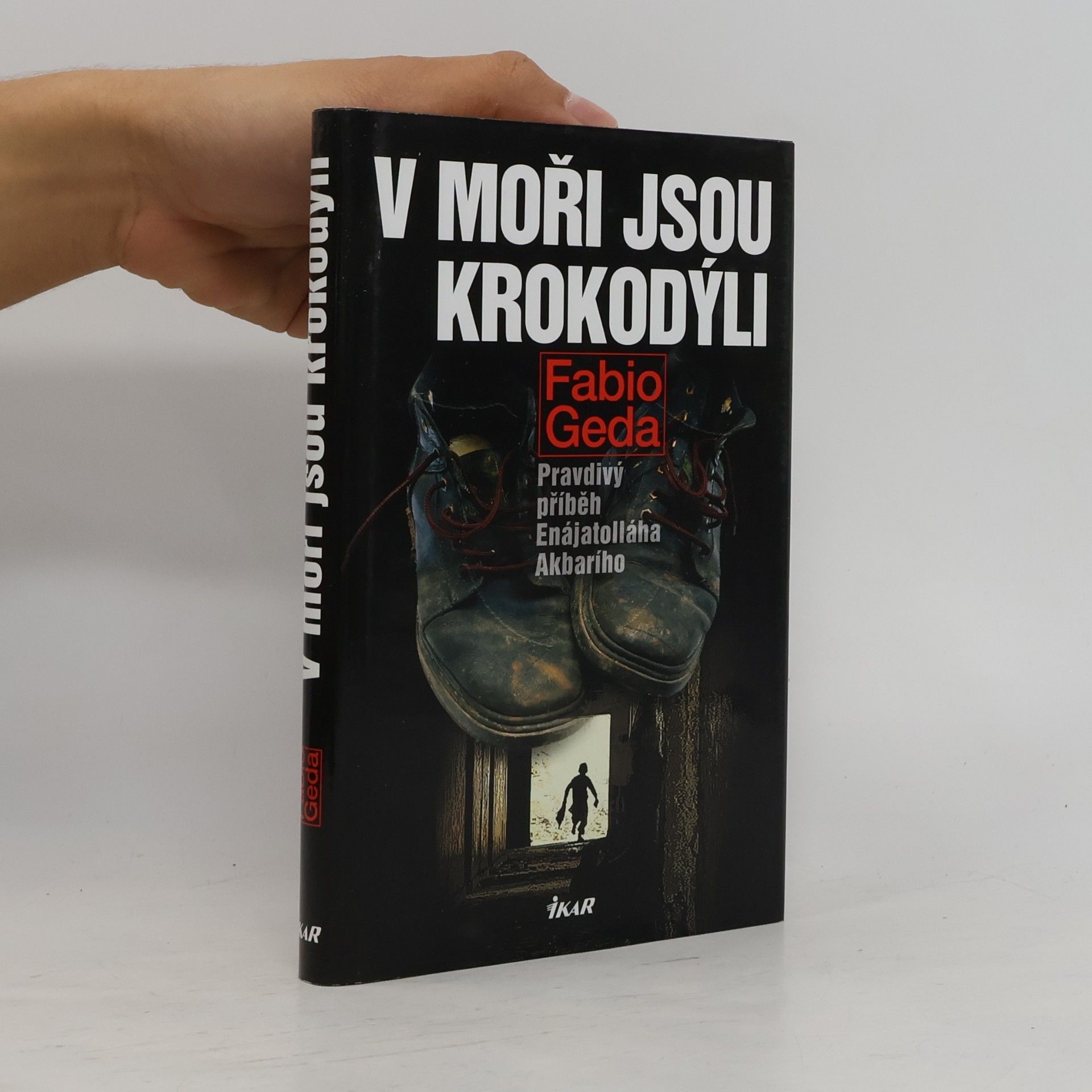 Fabio Geda V moři jsou krokodýli: Pravdivý příběh Enájatolláha Akbarího