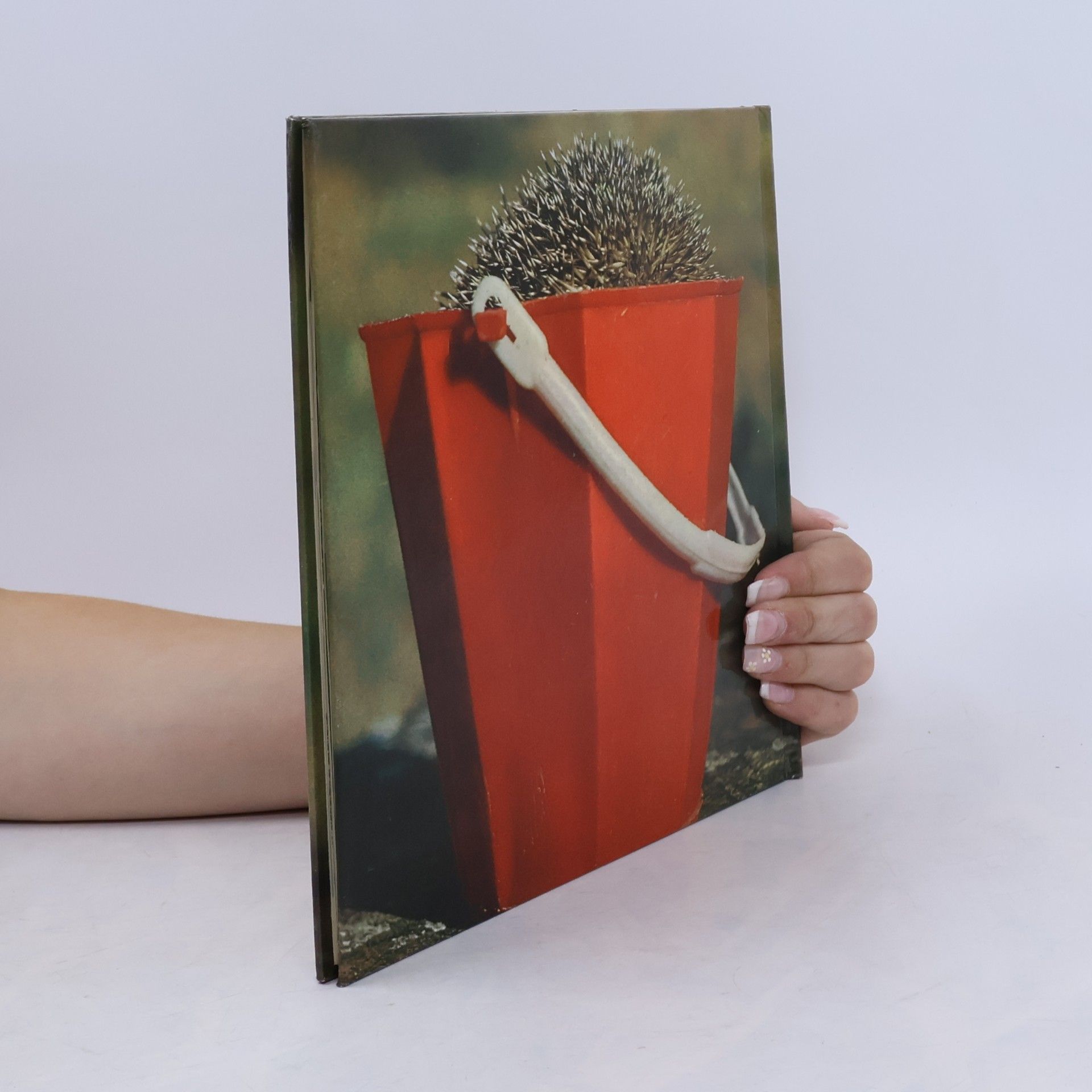 Anne Marie Pajot Fritz der Igel