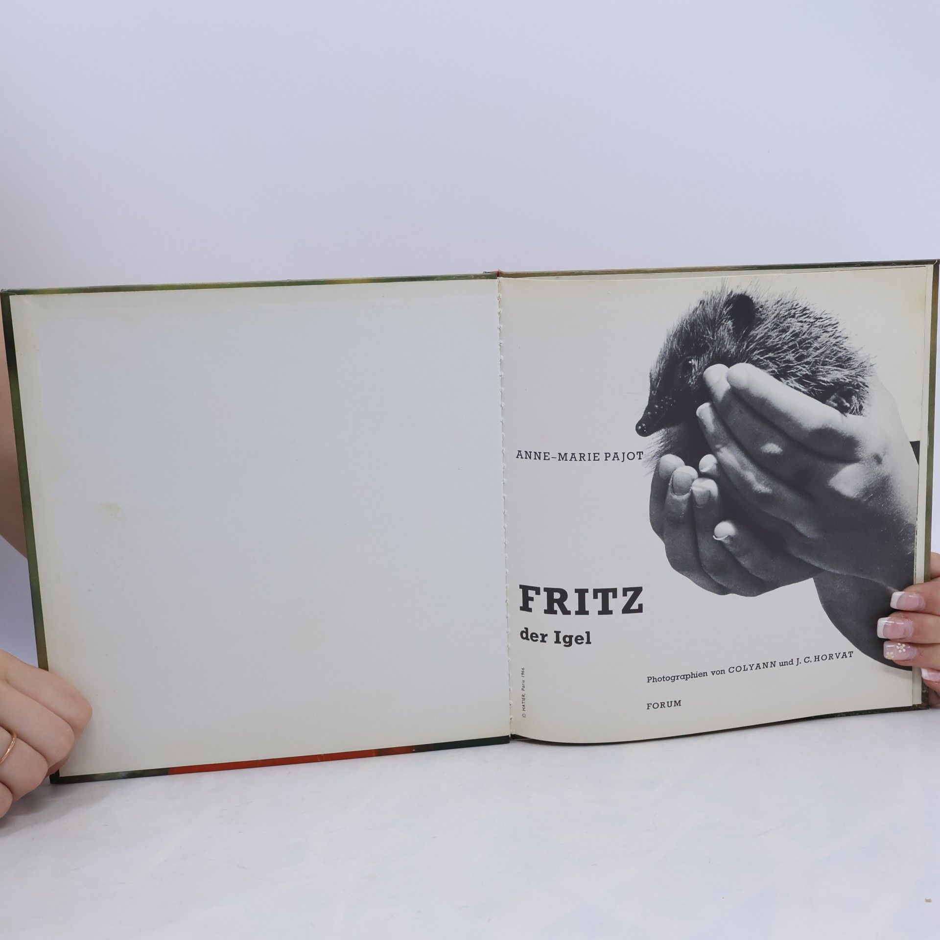 Anne Marie Pajot Fritz der Igel