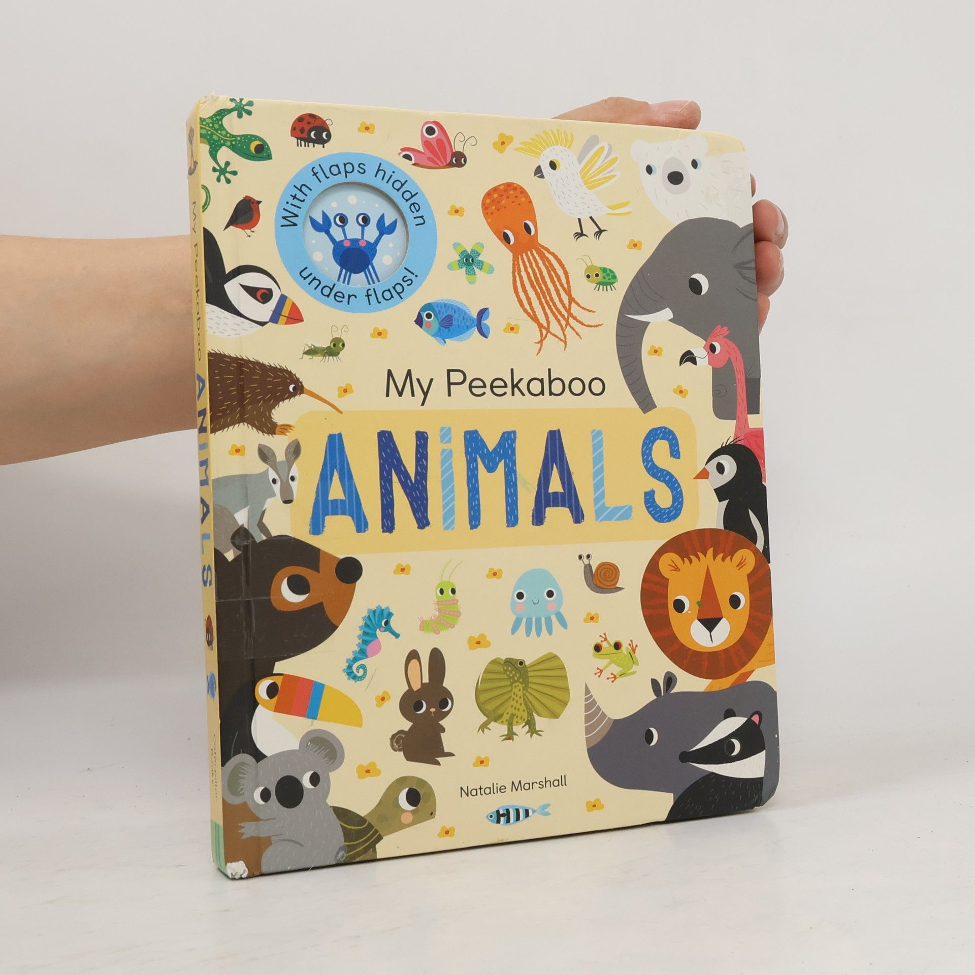 Nicola Edwards My Peekaboo Animals