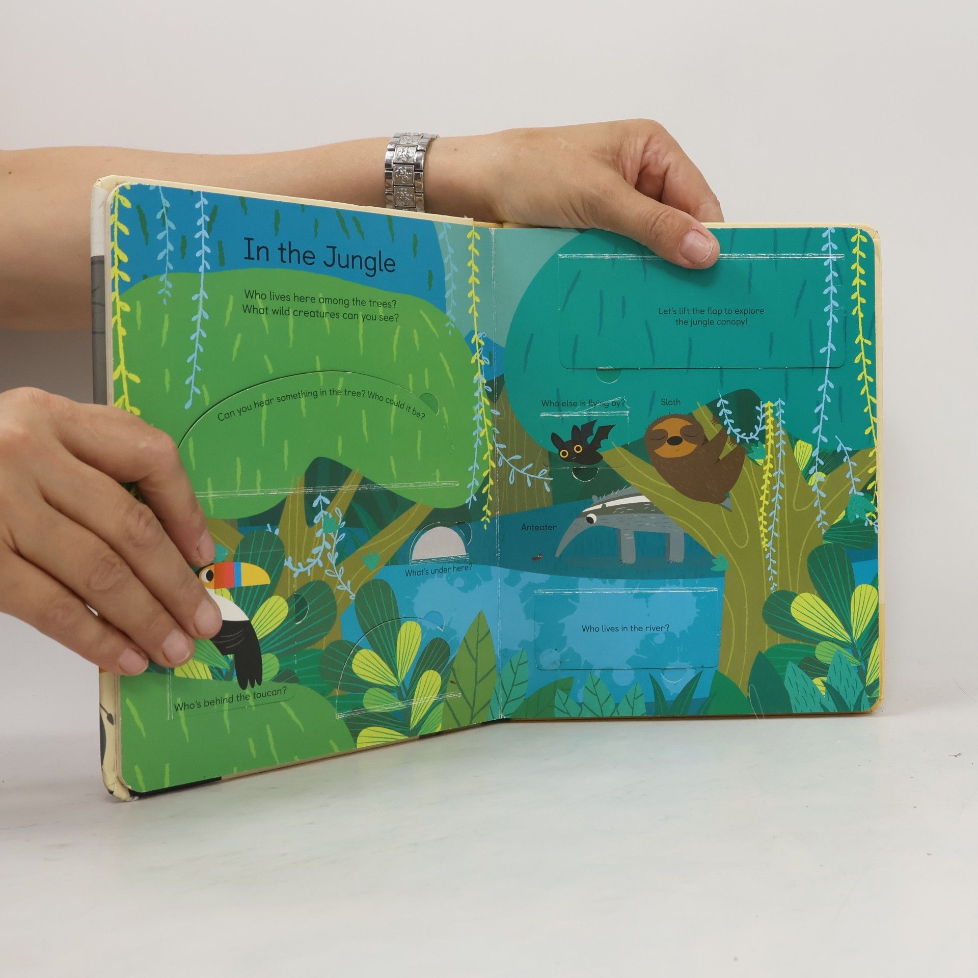 Nicola Edwards My Peekaboo Animals
