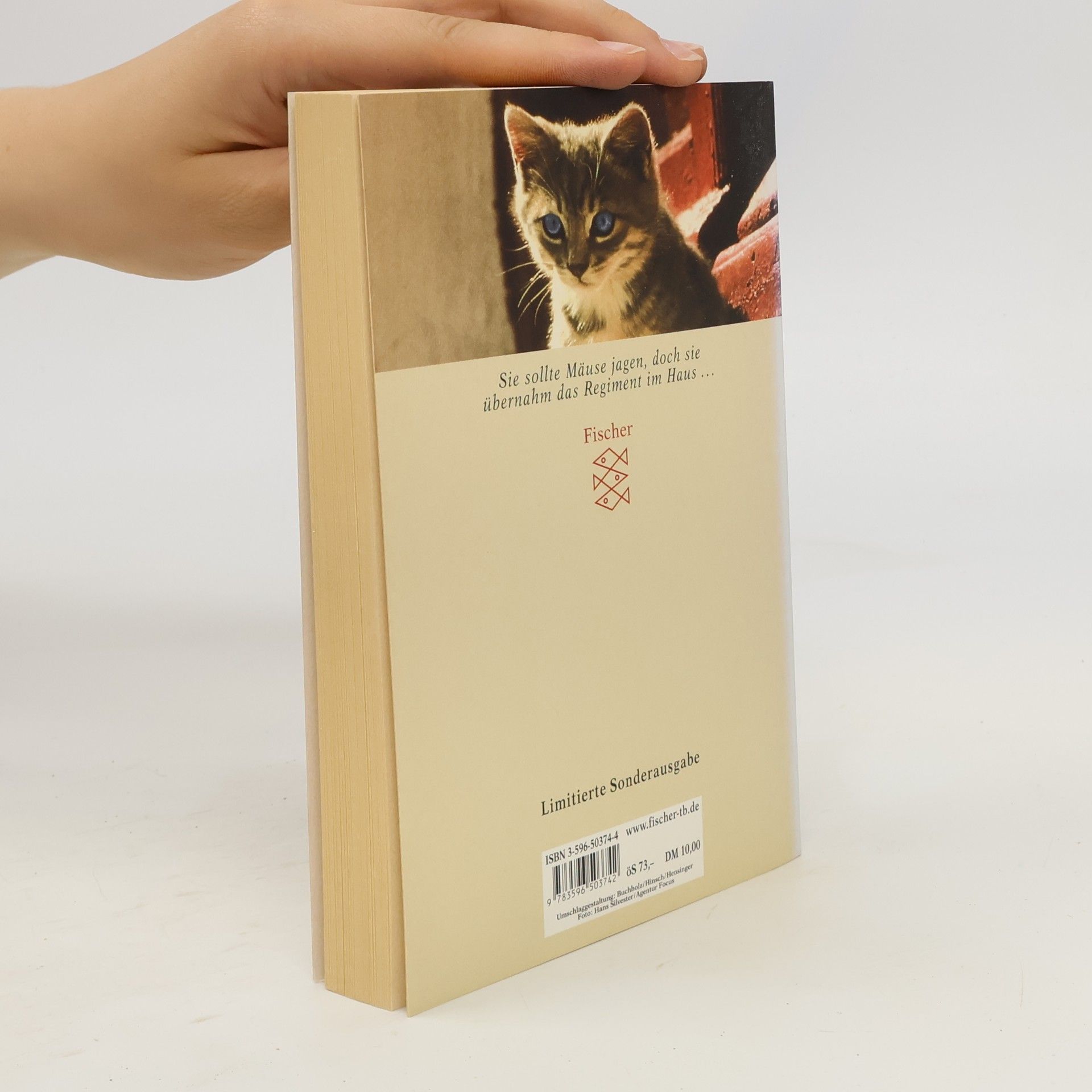 Doreen Tovey Die Katze mit den blauen Augen