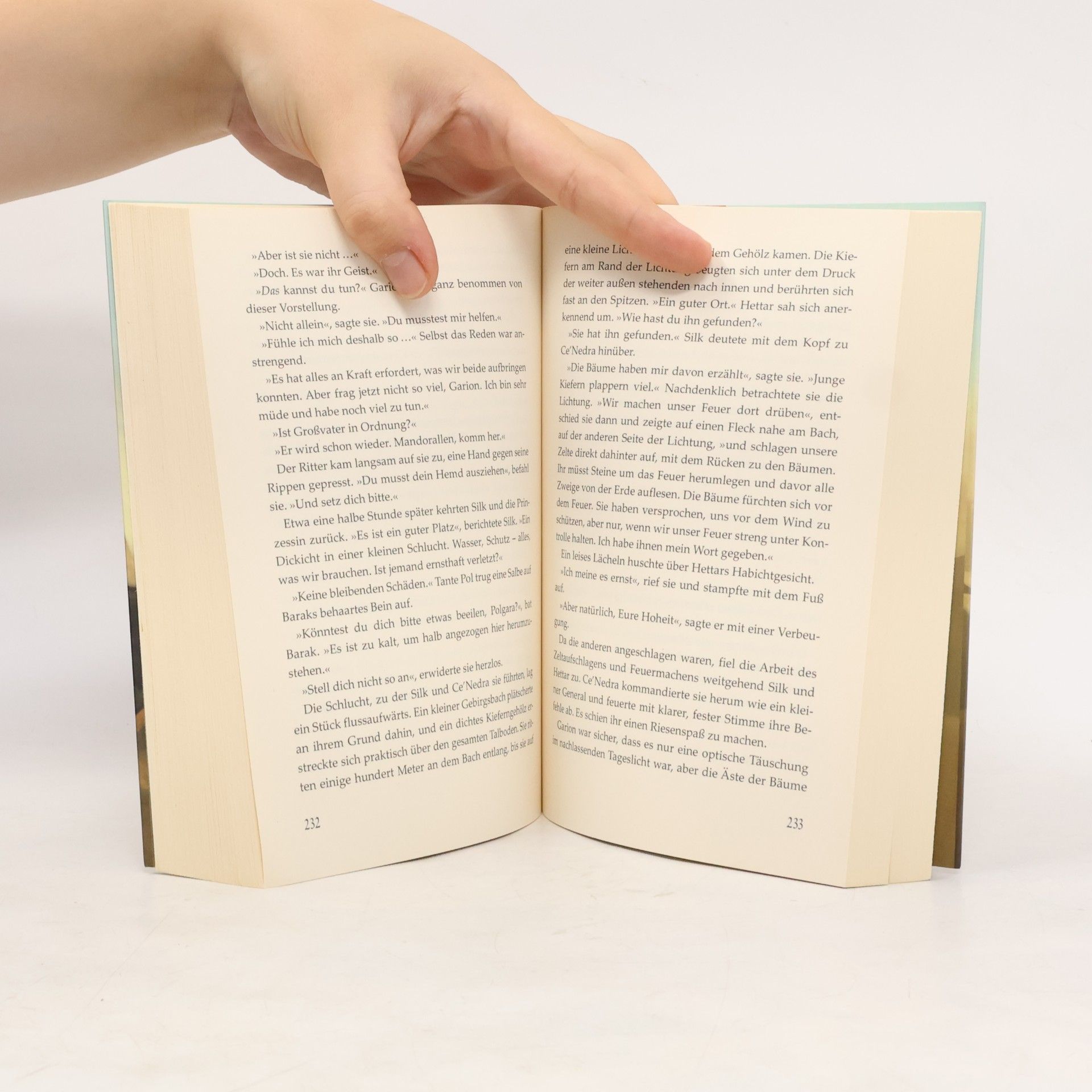 David Eddings Der Blinde