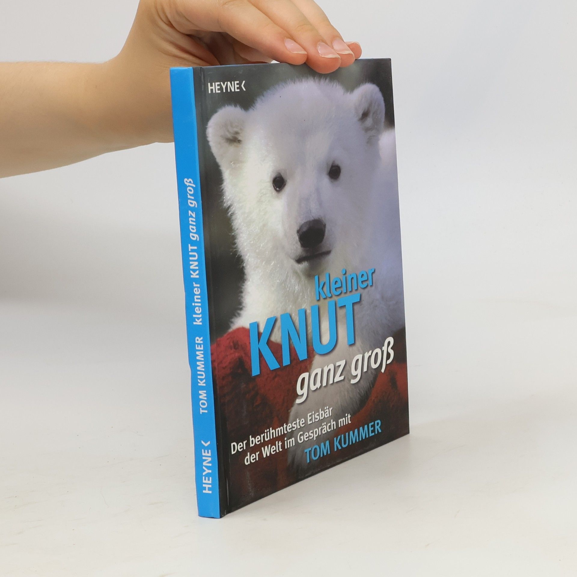 Tom Kummer Kleiner Knut ganz groß