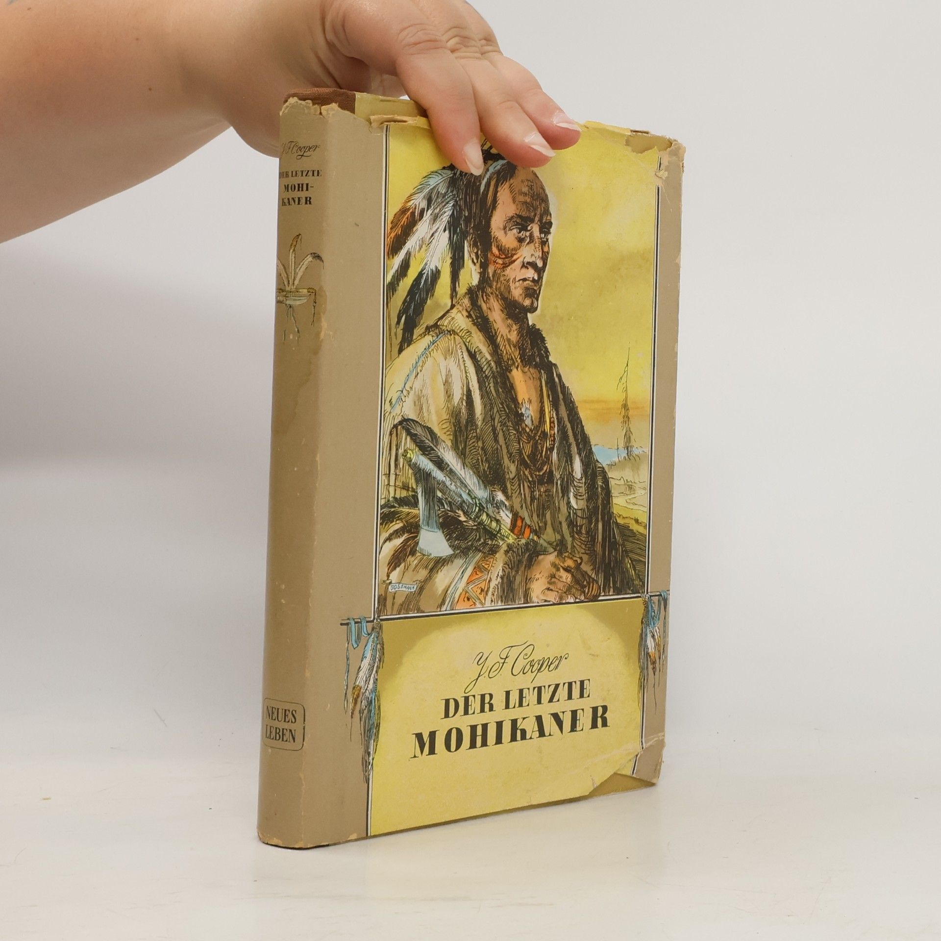 James Fenimore Cooper Der letzte Mohikaner