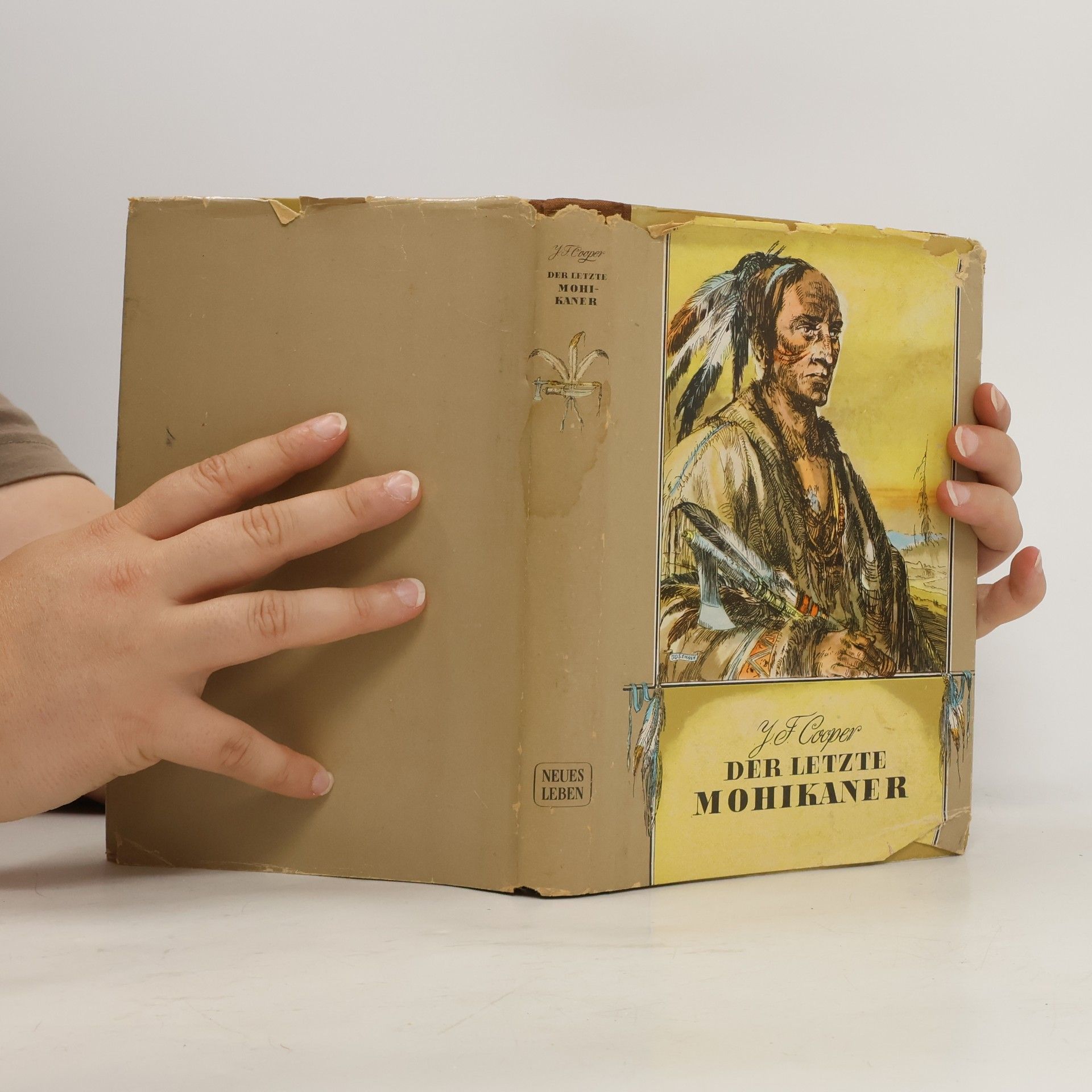 James Fenimore Cooper Der letzte Mohikaner