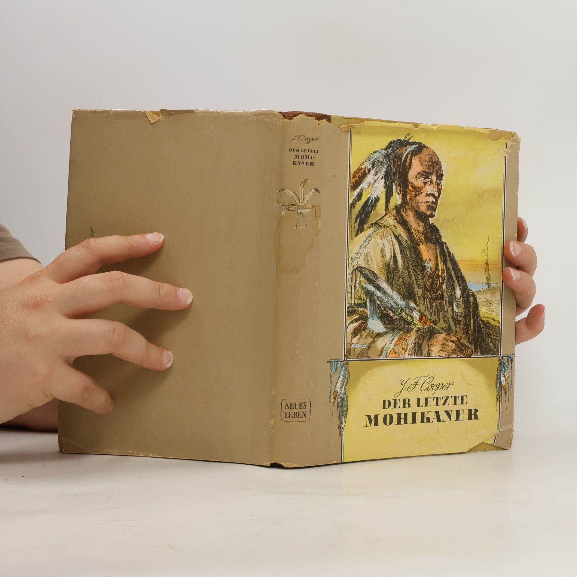 James Fenimore Cooper Der letzte Mohikaner