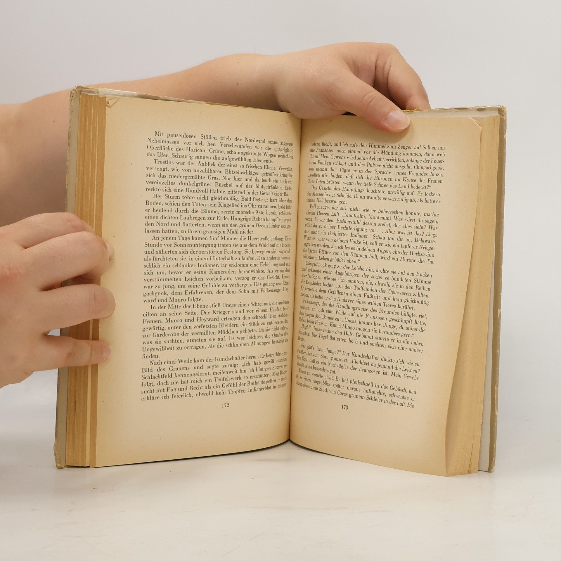 James Fenimore Cooper Der letzte Mohikaner