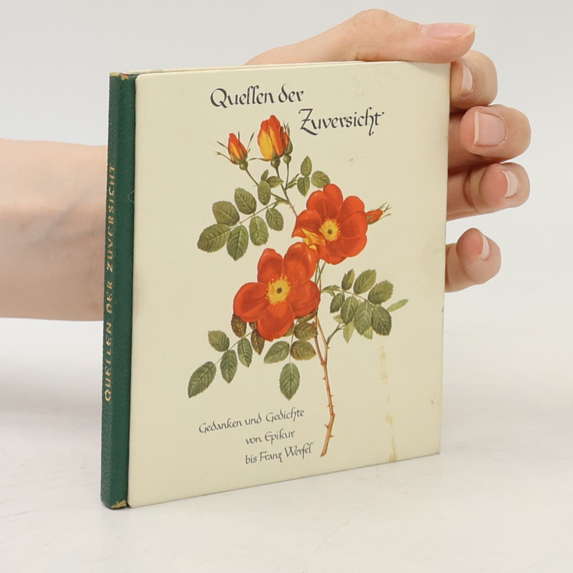 Collectif d'auteurs Quellen der Zuversicht. Gedanken und Gedichte