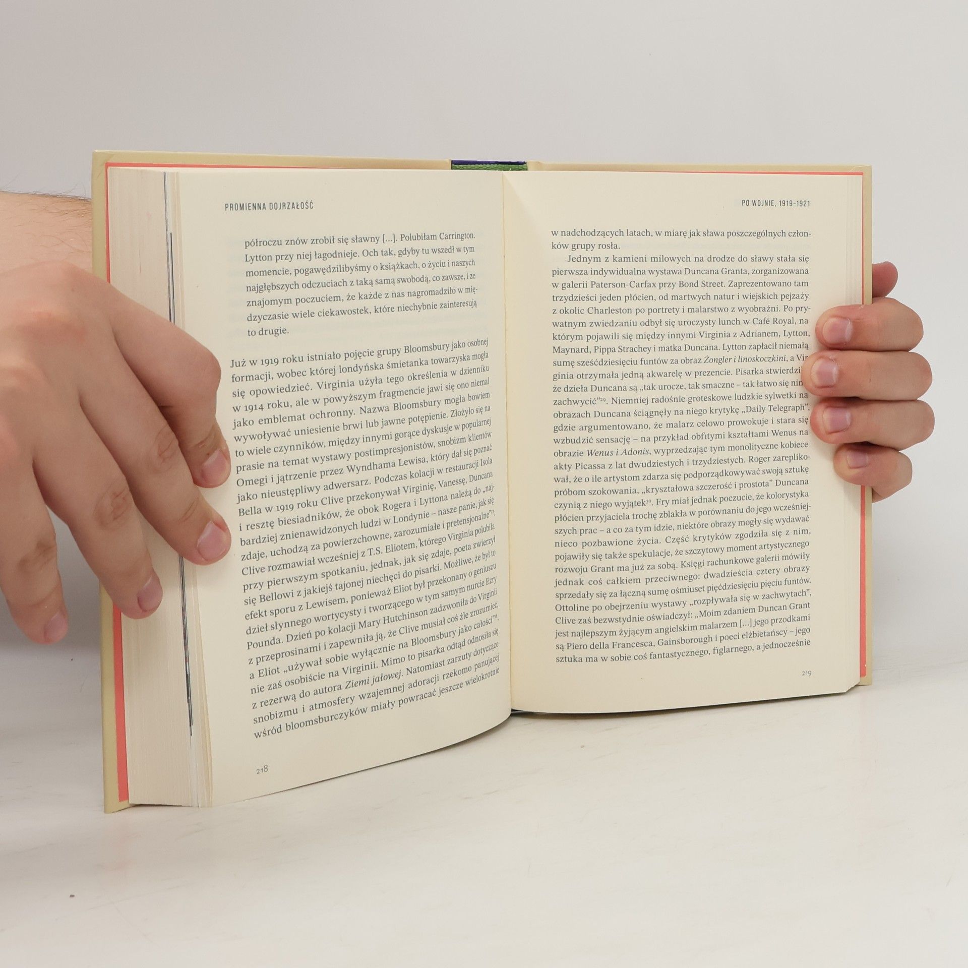 Licence Amy Artystyczne kręgi, miłosne trójkąty. Virginia Woolf i grupa Bloomsbury