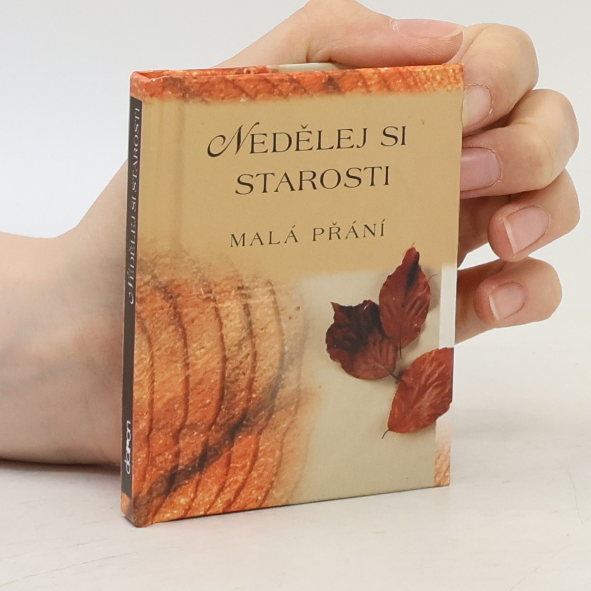 Alžběta Sirovátková Nedělej si starosti