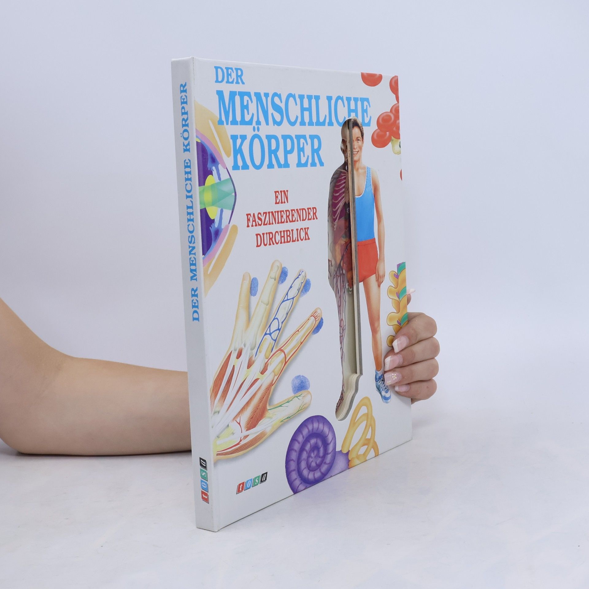 Autorenkollektiv Der menschliche Körper