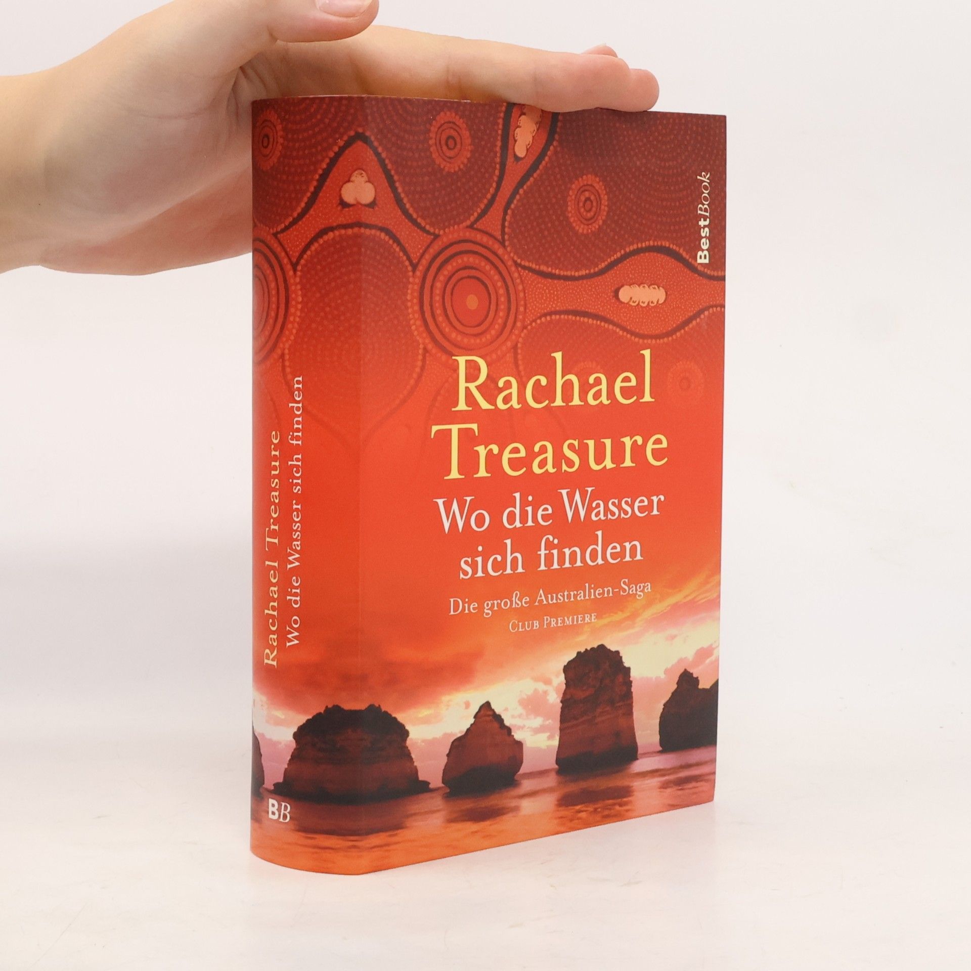 Rachel Treasure Wo die Wasser sich finden