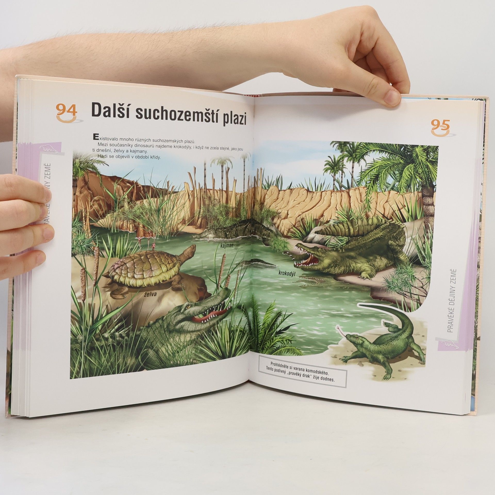 Autorenkollektiv Pravěké dějiny Země